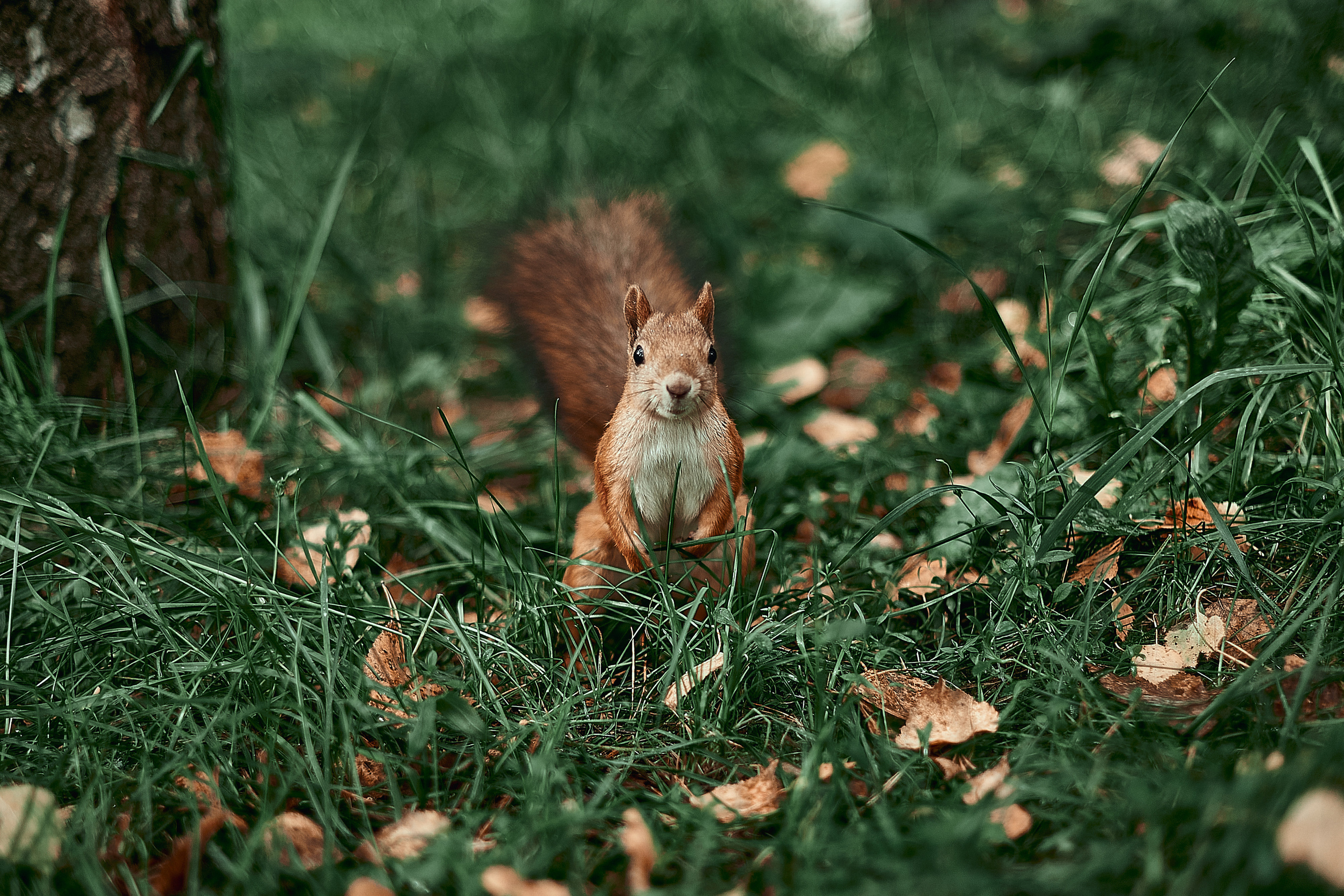 День туризма