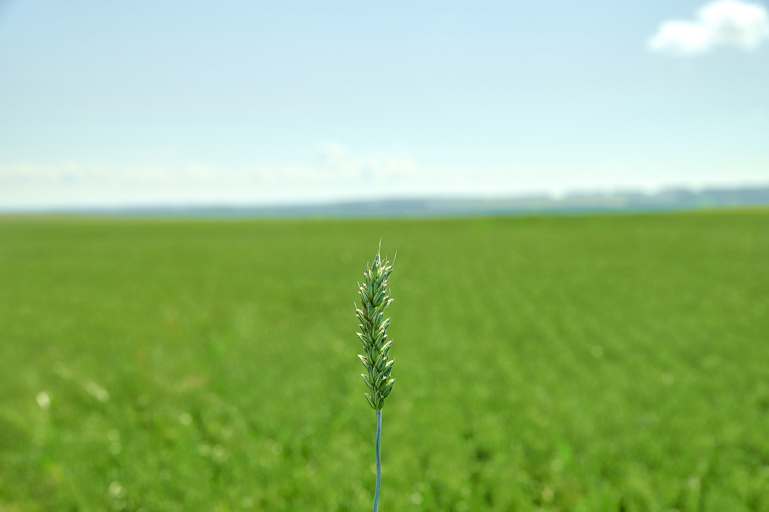 Кирово-Чепецкая Химическая Компания