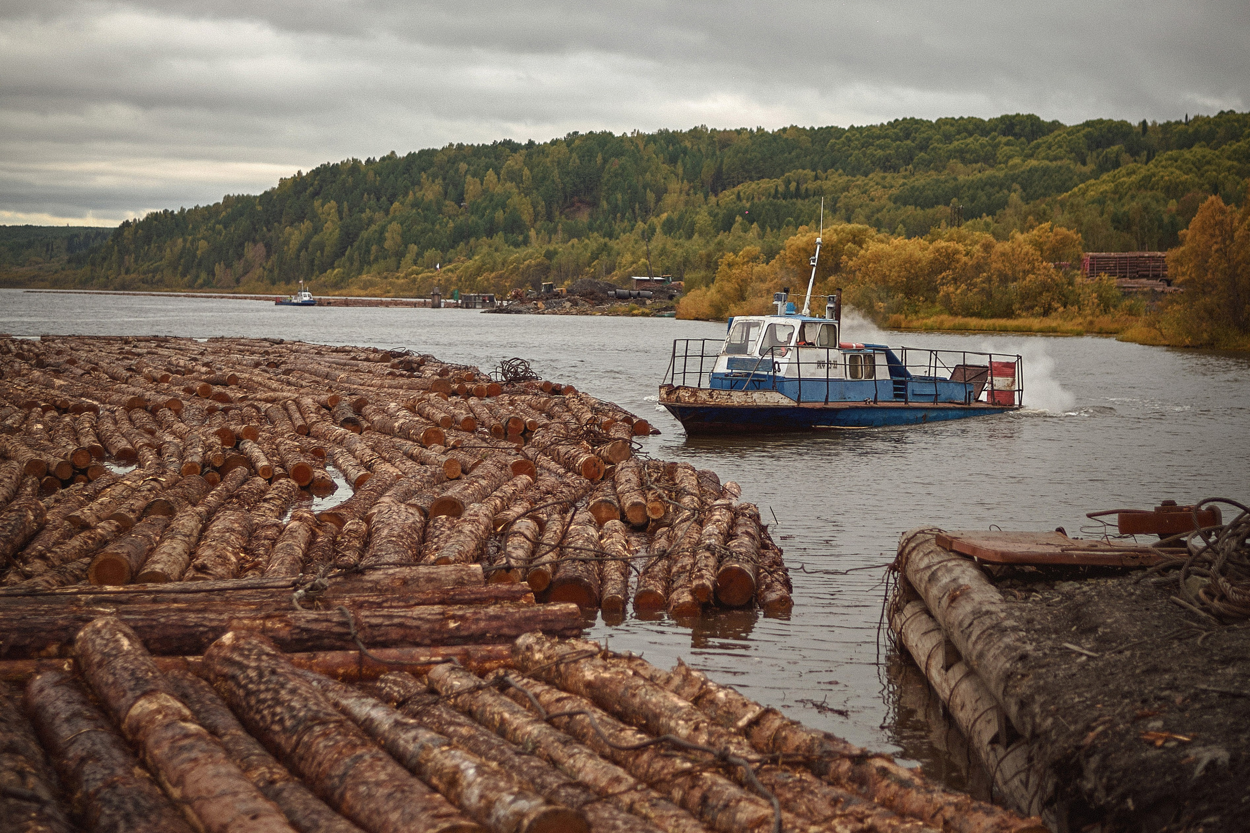 Лесозаготовка&nbsp;г.&nbsp;Мотыгино
