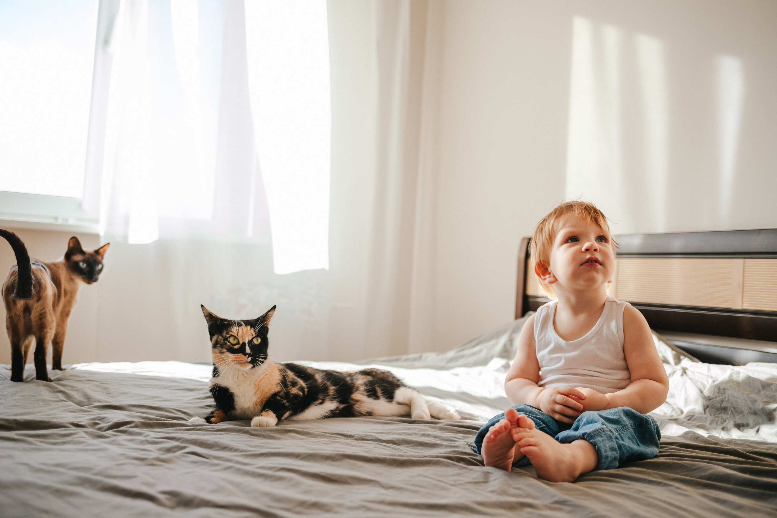 Стас, Света, Боря