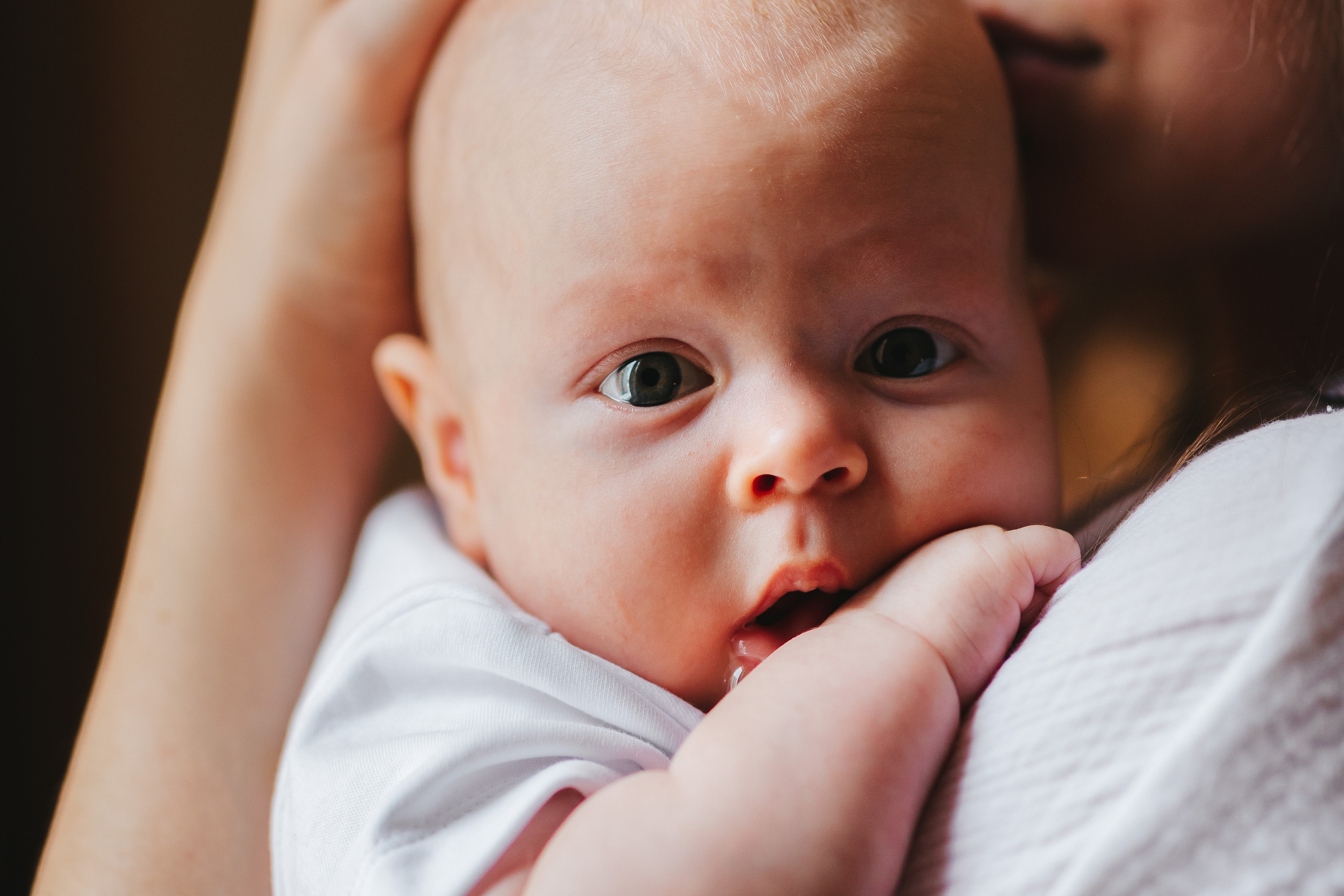 Влад, Лера, Никита и Егор