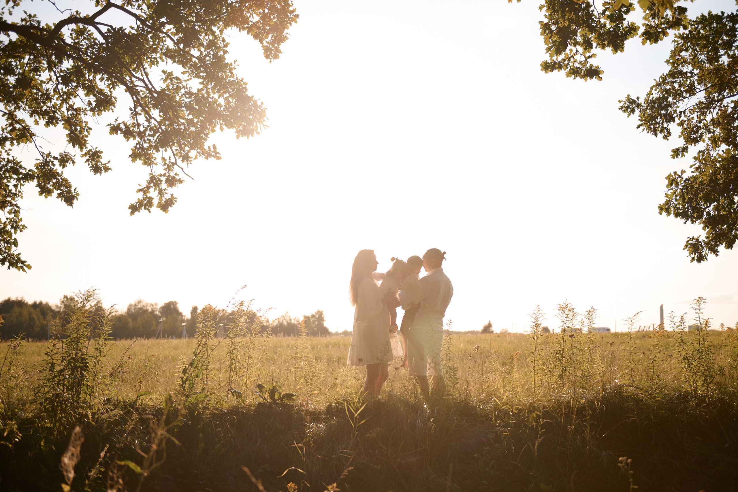 Дубовая аллея