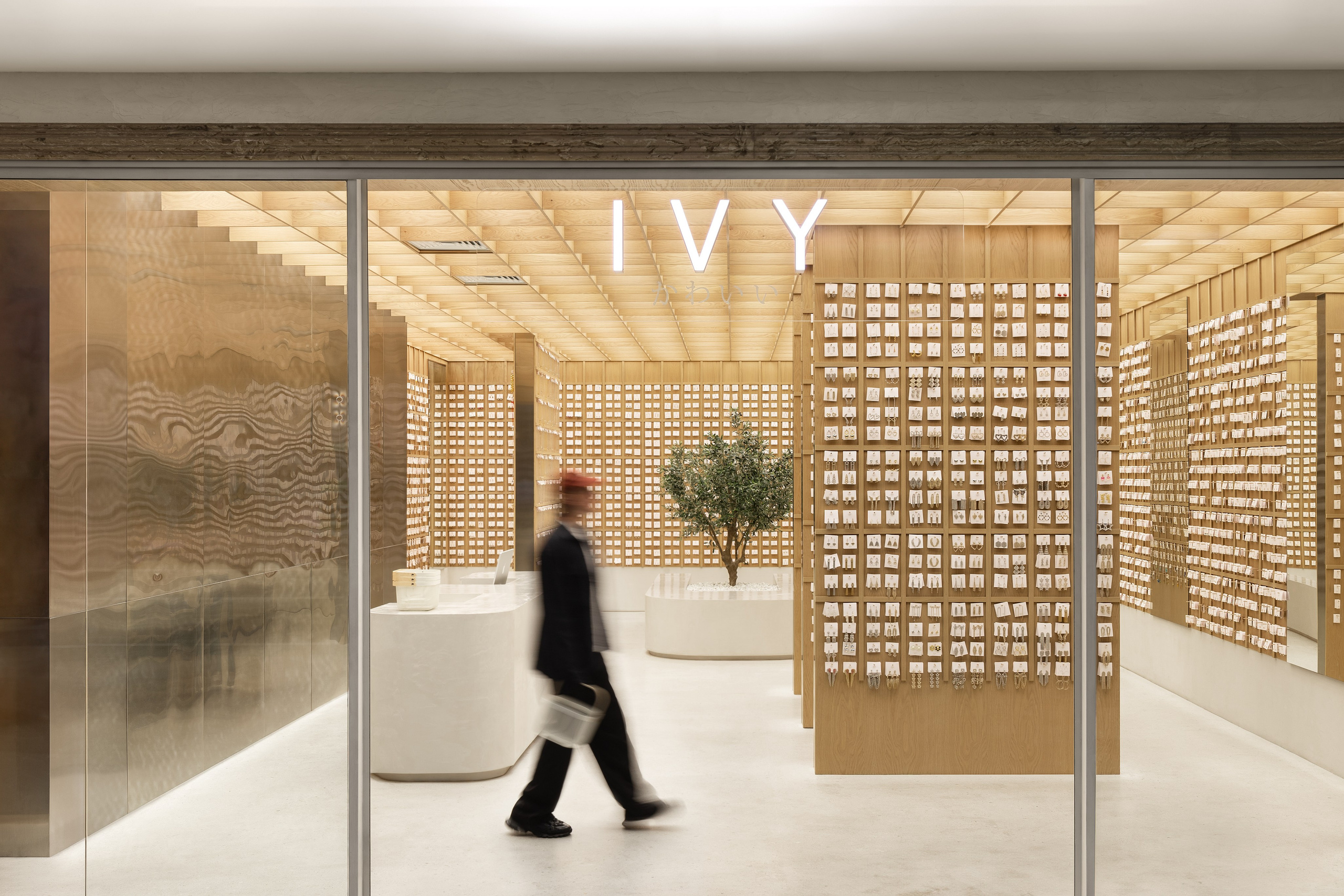 Volume Studia — IVY