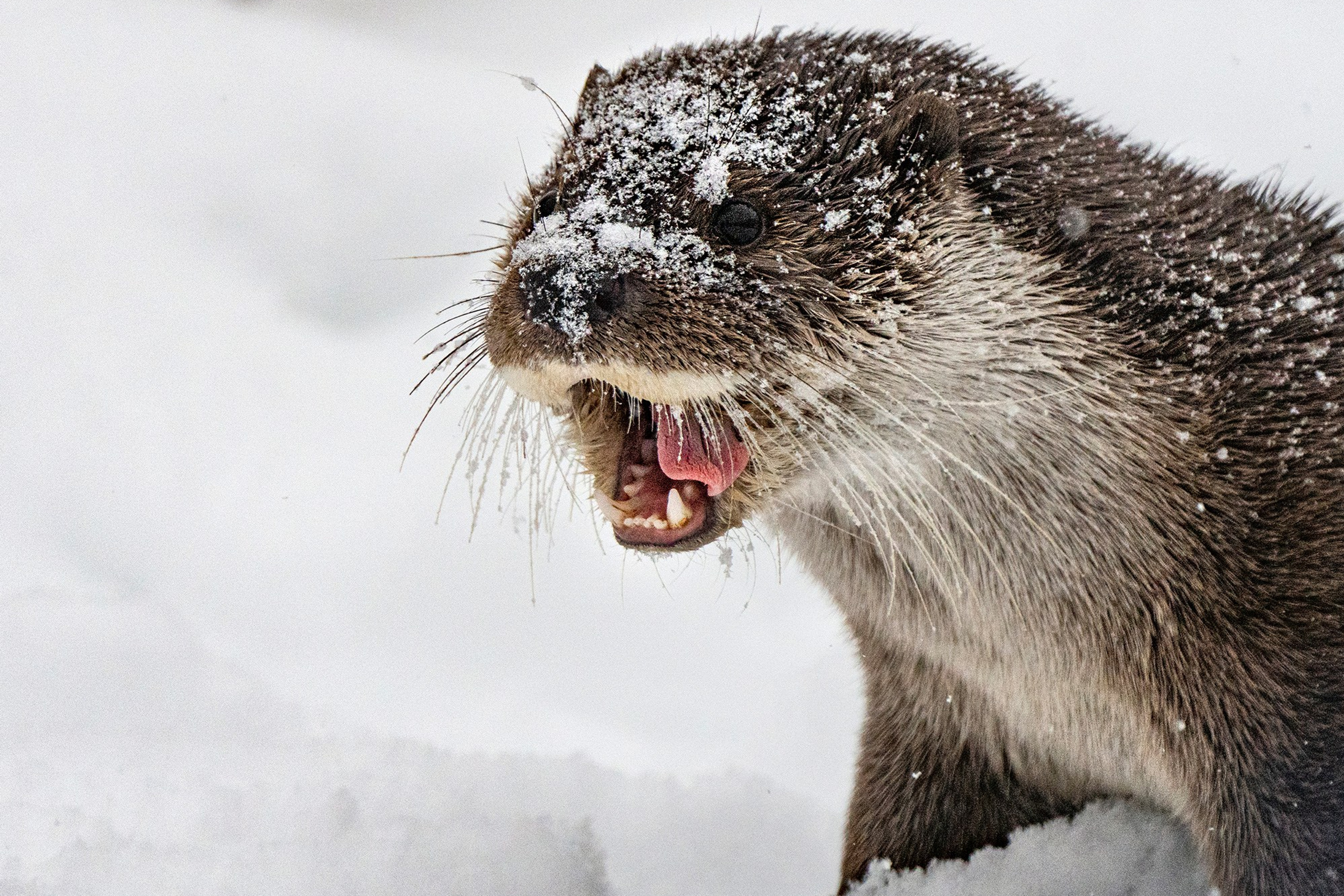 Зимой в Белоруссии