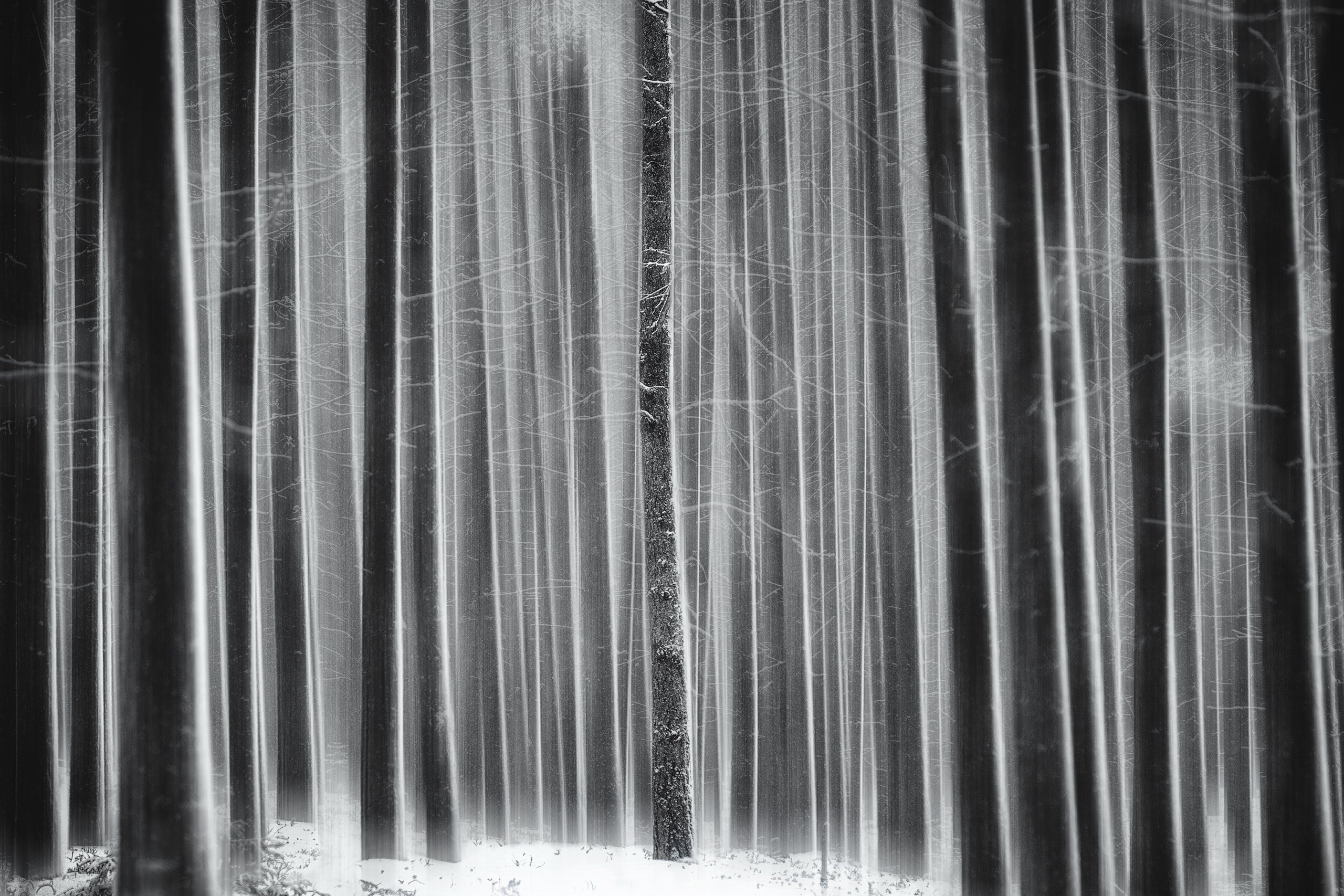 Черно-белое