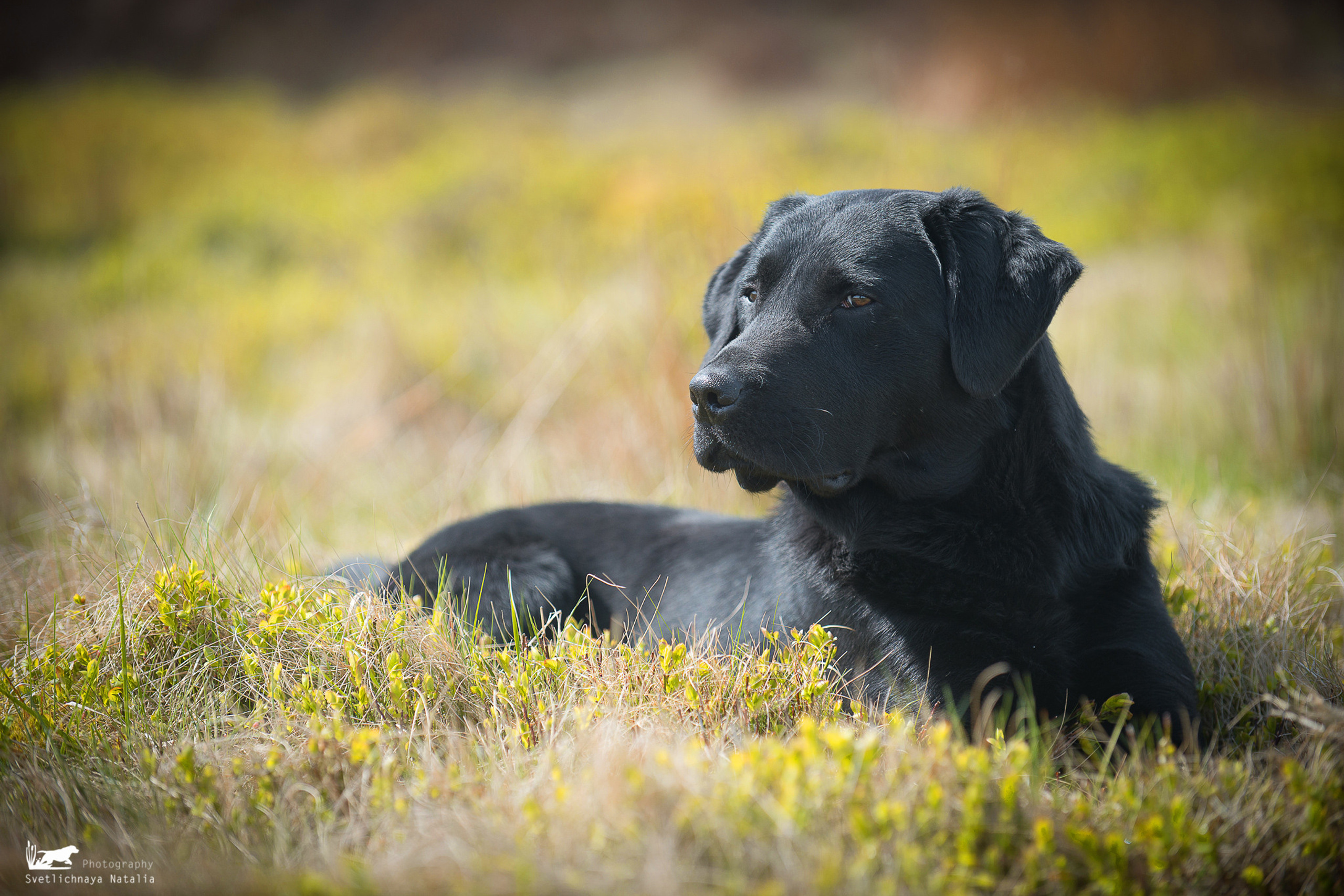 Тренинг с Wayne Mitсhell (Англия, 2018)