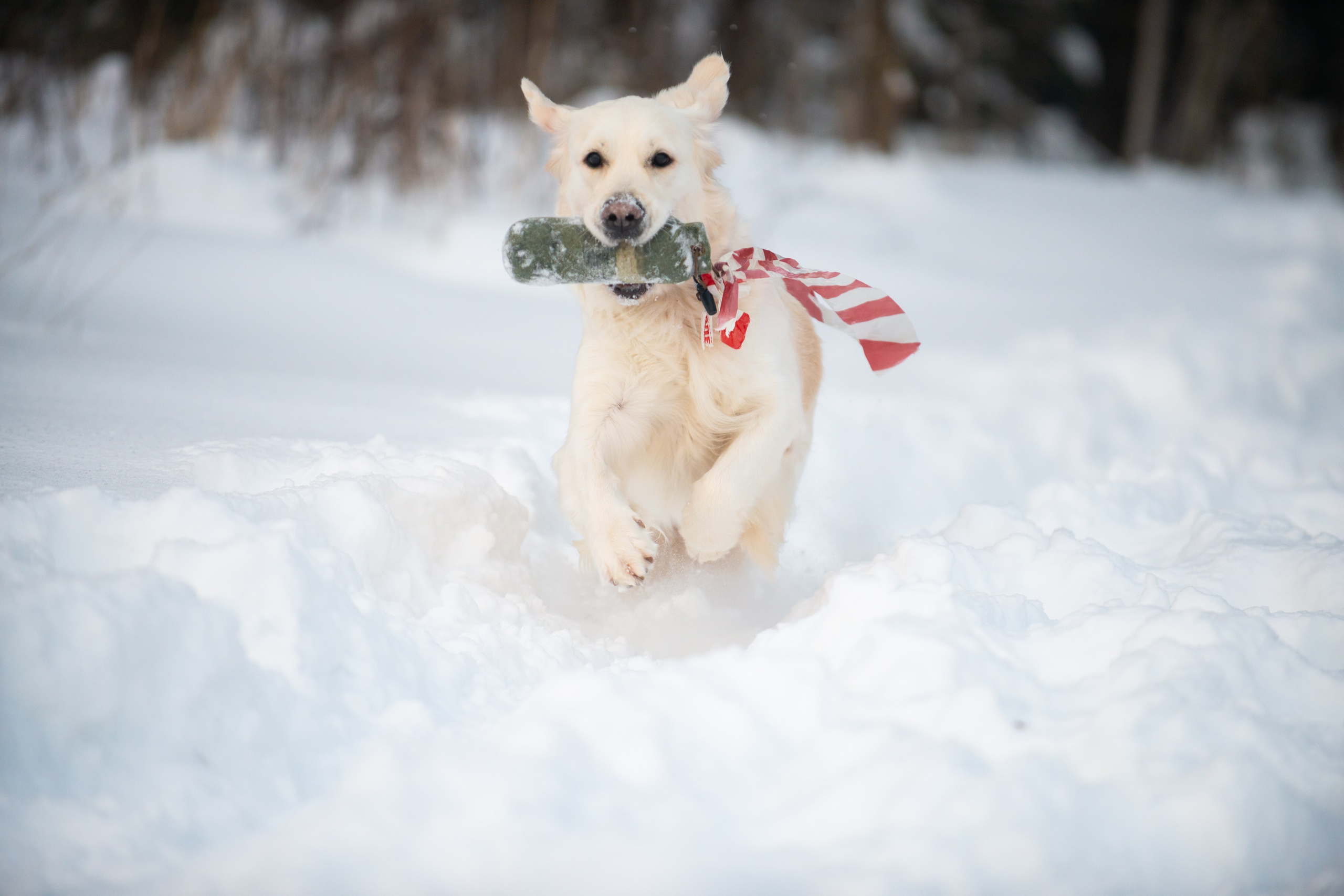 Тренировочный воркинг тест Школы Шмеля, 02 декабря 2023