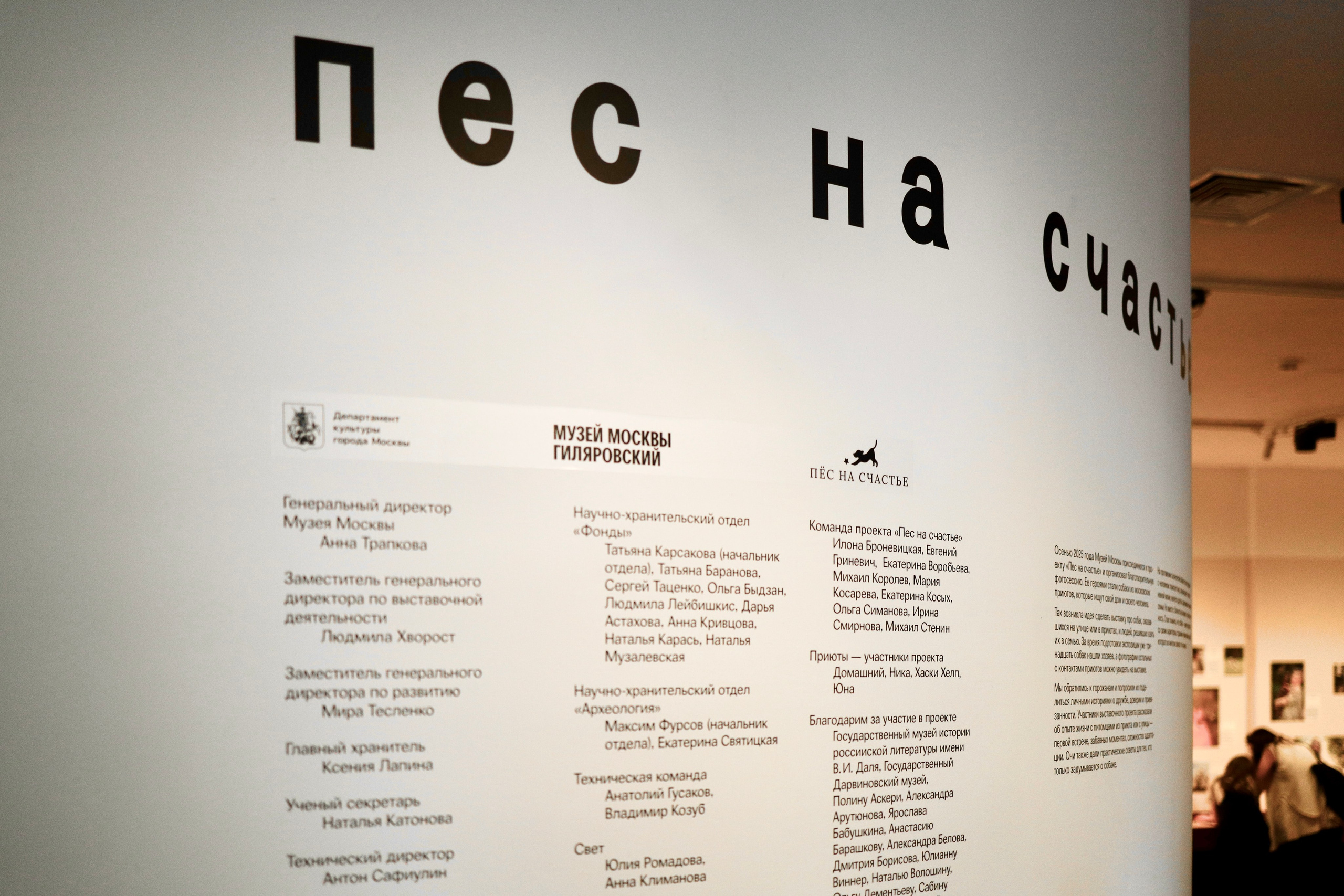 Выставка «Пёс на счастье» в центре Гиляровского