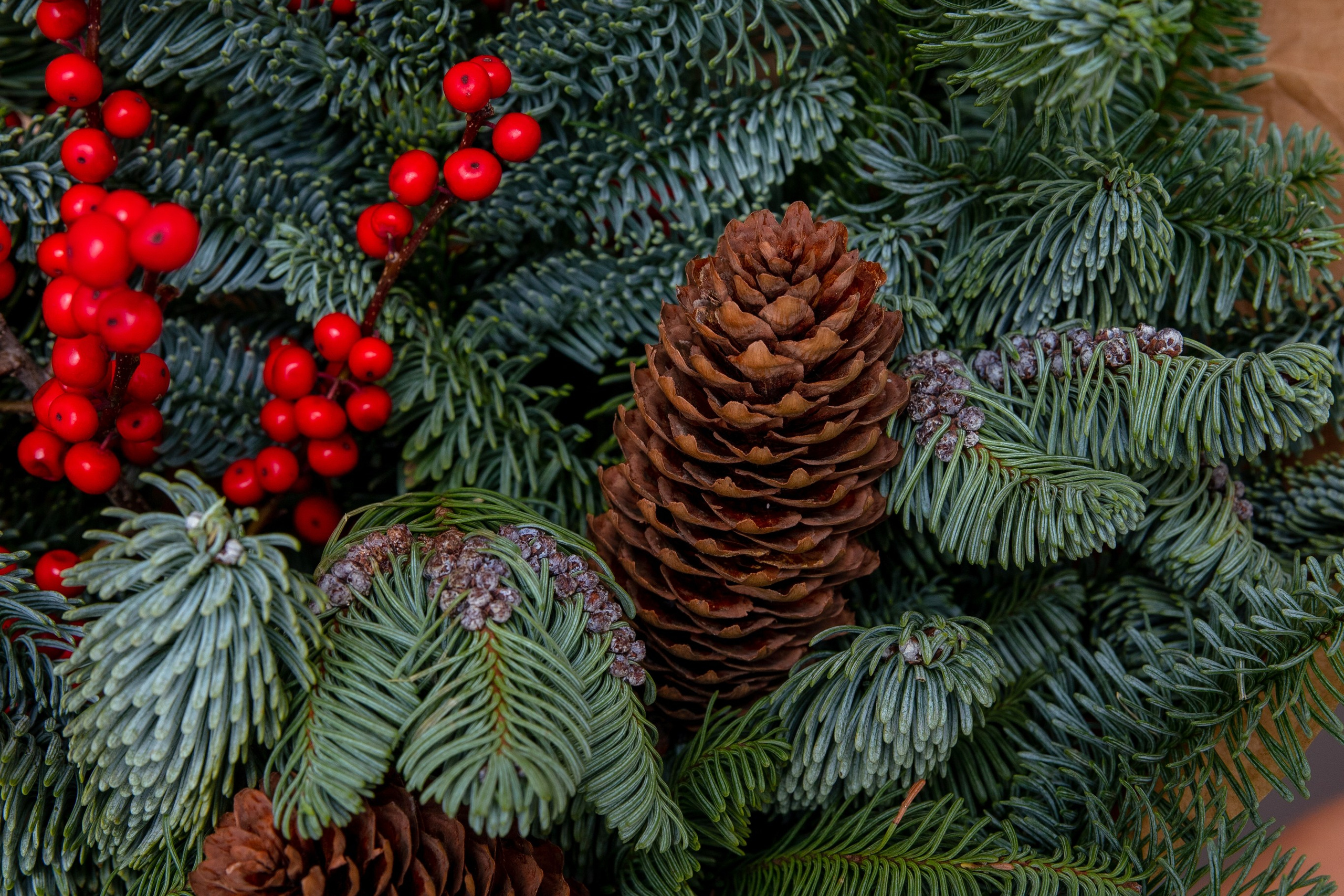 Бутик цветов. Фотограф Москва