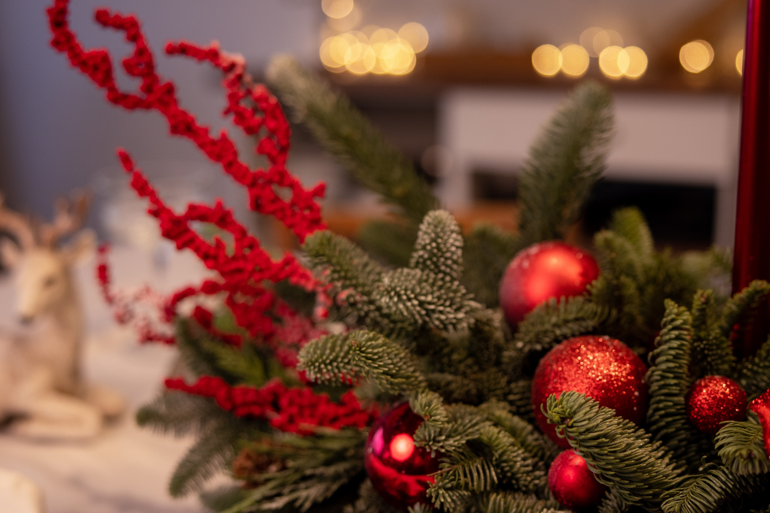 Бутик цветов. Фотограф Москва