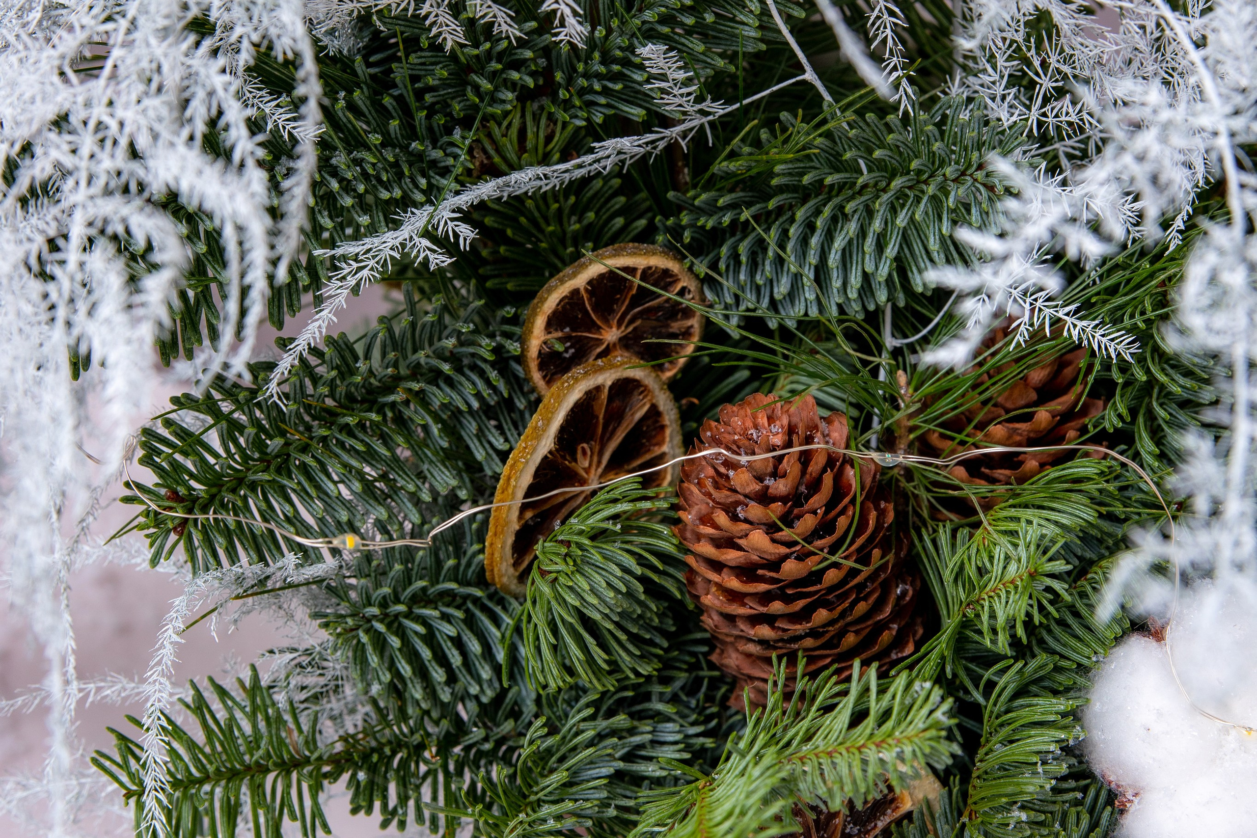 Бутик цветов. Фотограф Москва