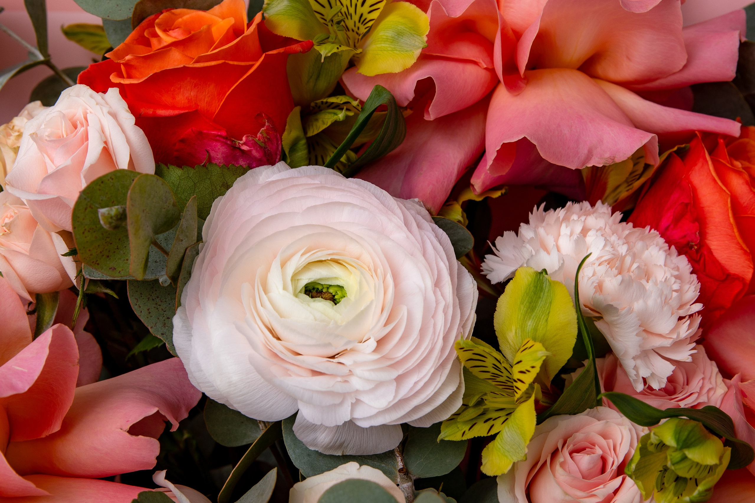 Бутик цветов. Фотограф Москва