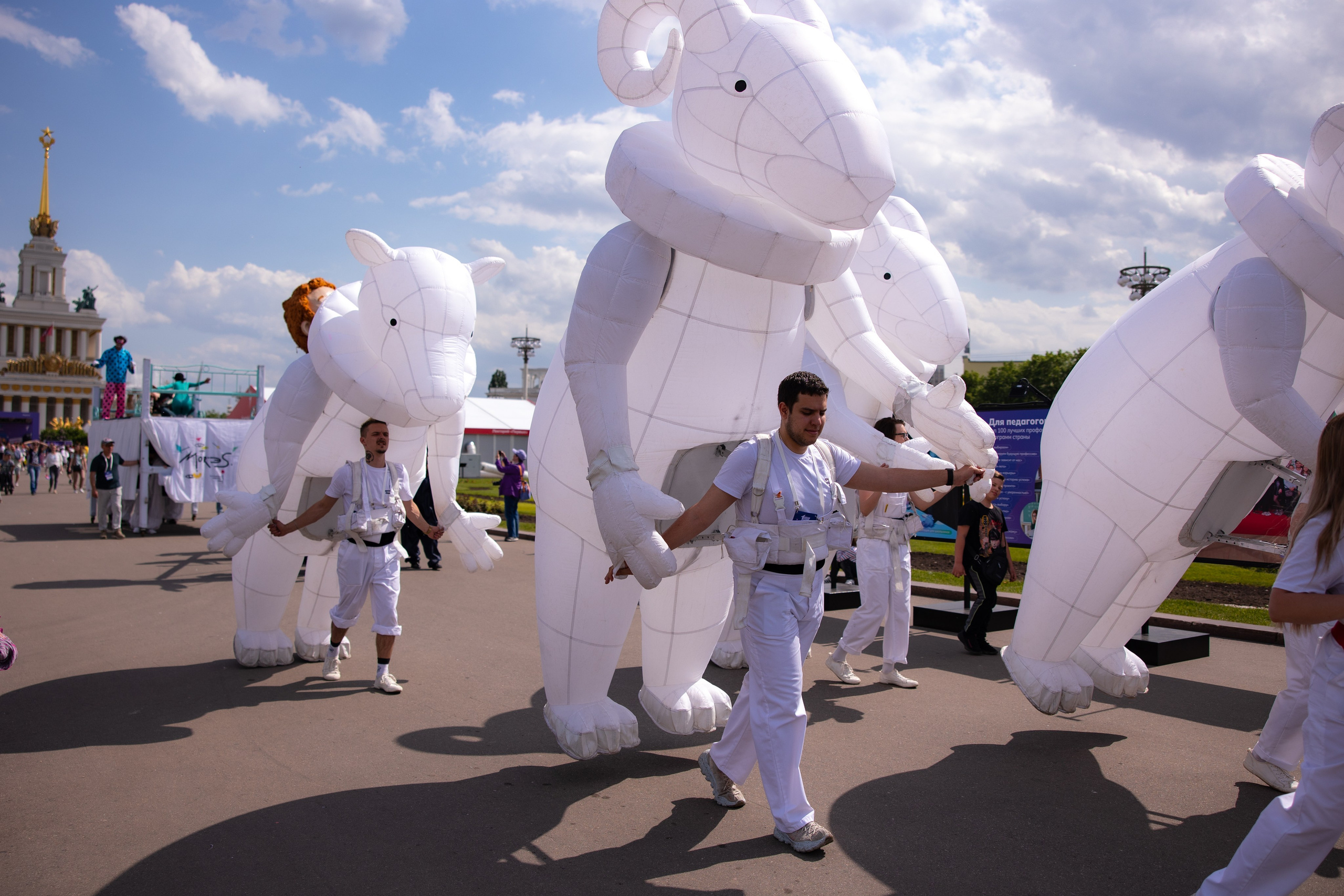 Фестиваль ВДНХ. Фотограф Москва