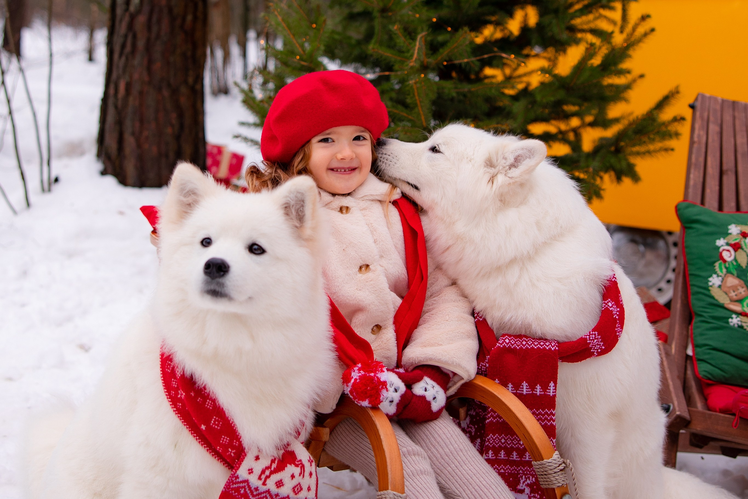 Новый год. Фотограф Москва
