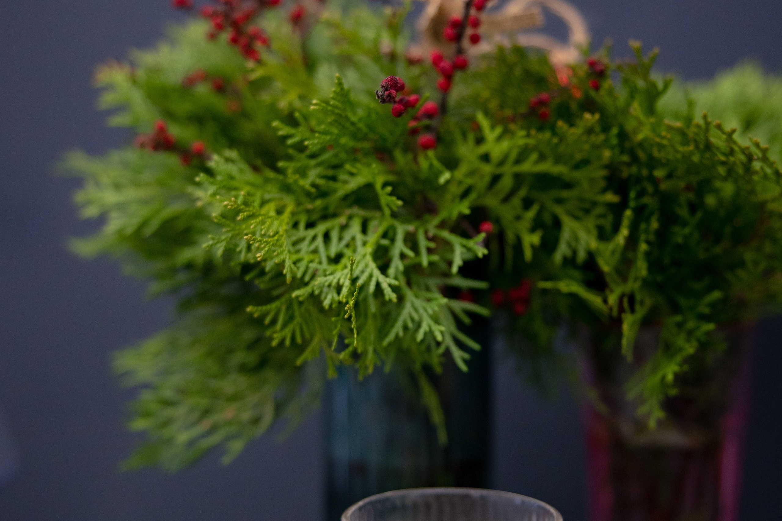 Салон красоты Alice. Фотограф Москва