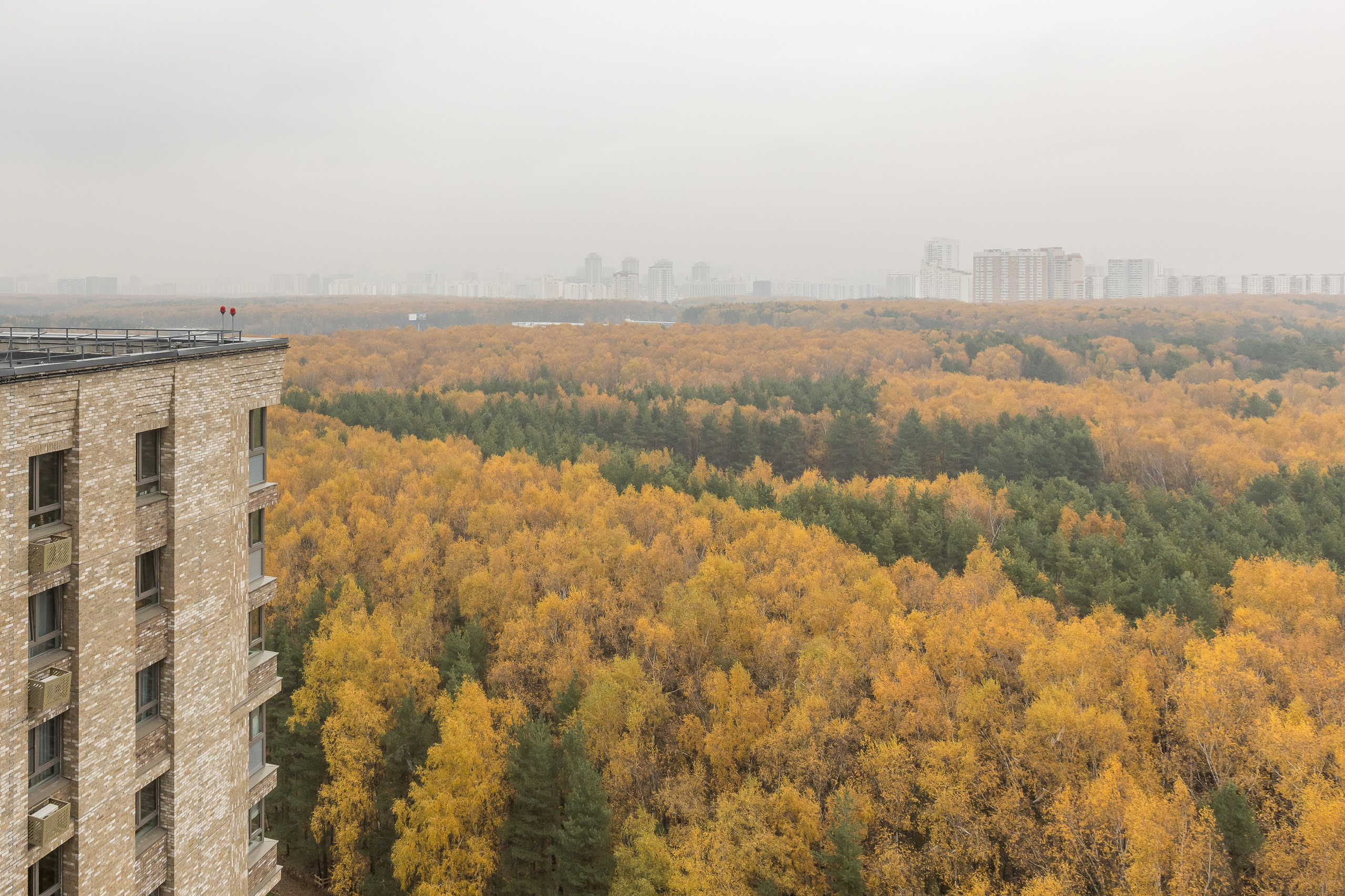Проект Яндекс Недвижимости «Идеальные формы и&nbsp;живая реальность»