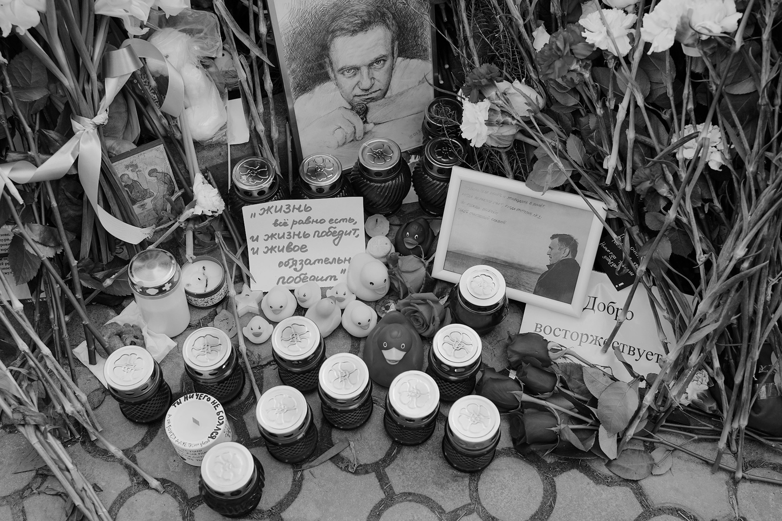 Борисовское кладбище. Дарья Крыл