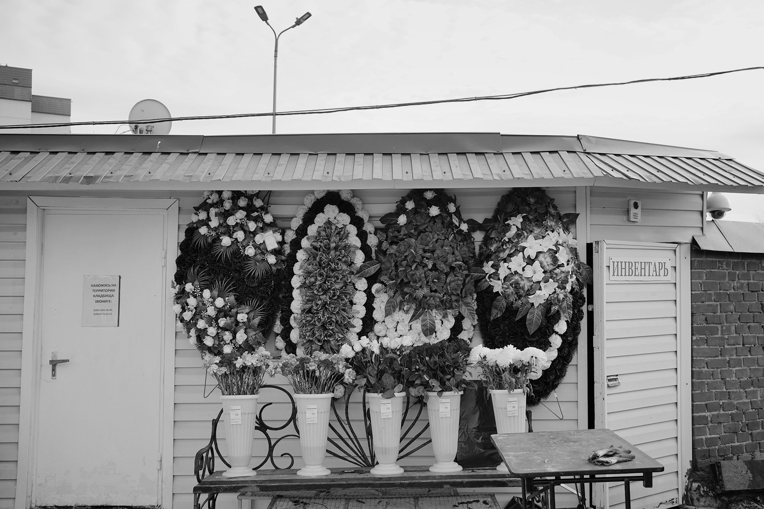 Борисовское кладбище. Дарья Крыл