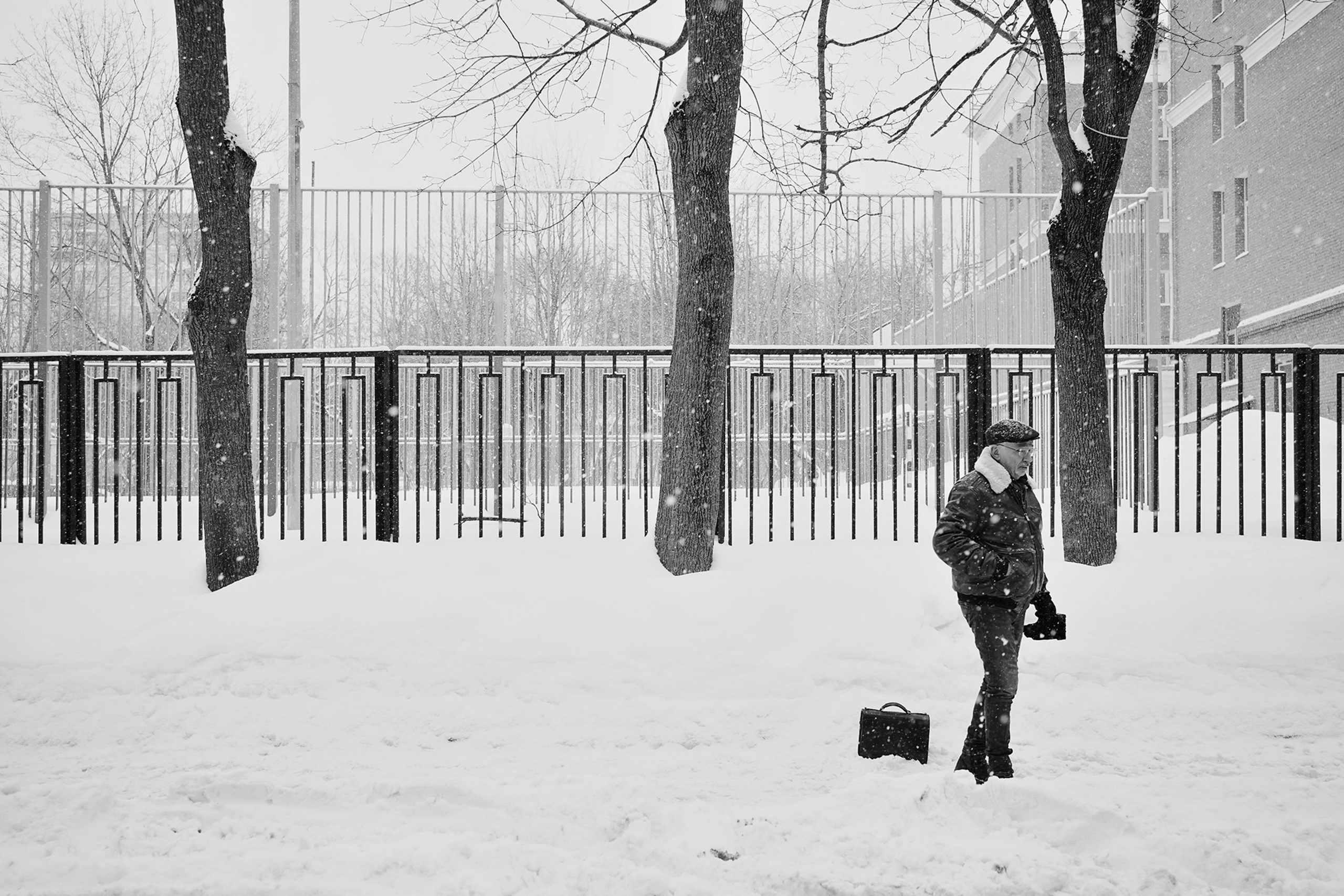 Суд над Олегом Орловым (включён Минюстом в реестр «иностранных агентов»). Дарья Крыл