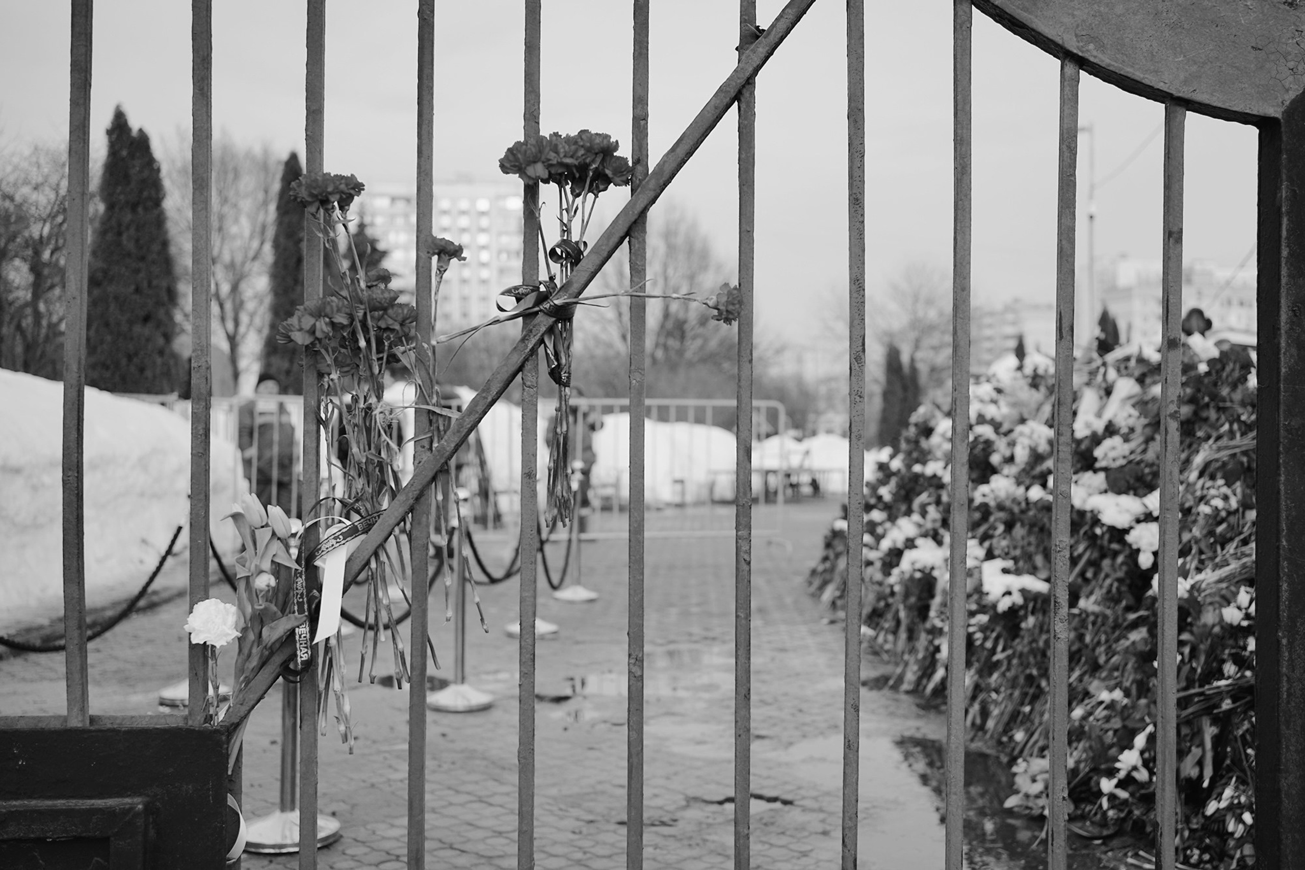 Борисовское кладбище. Дарья Крыл