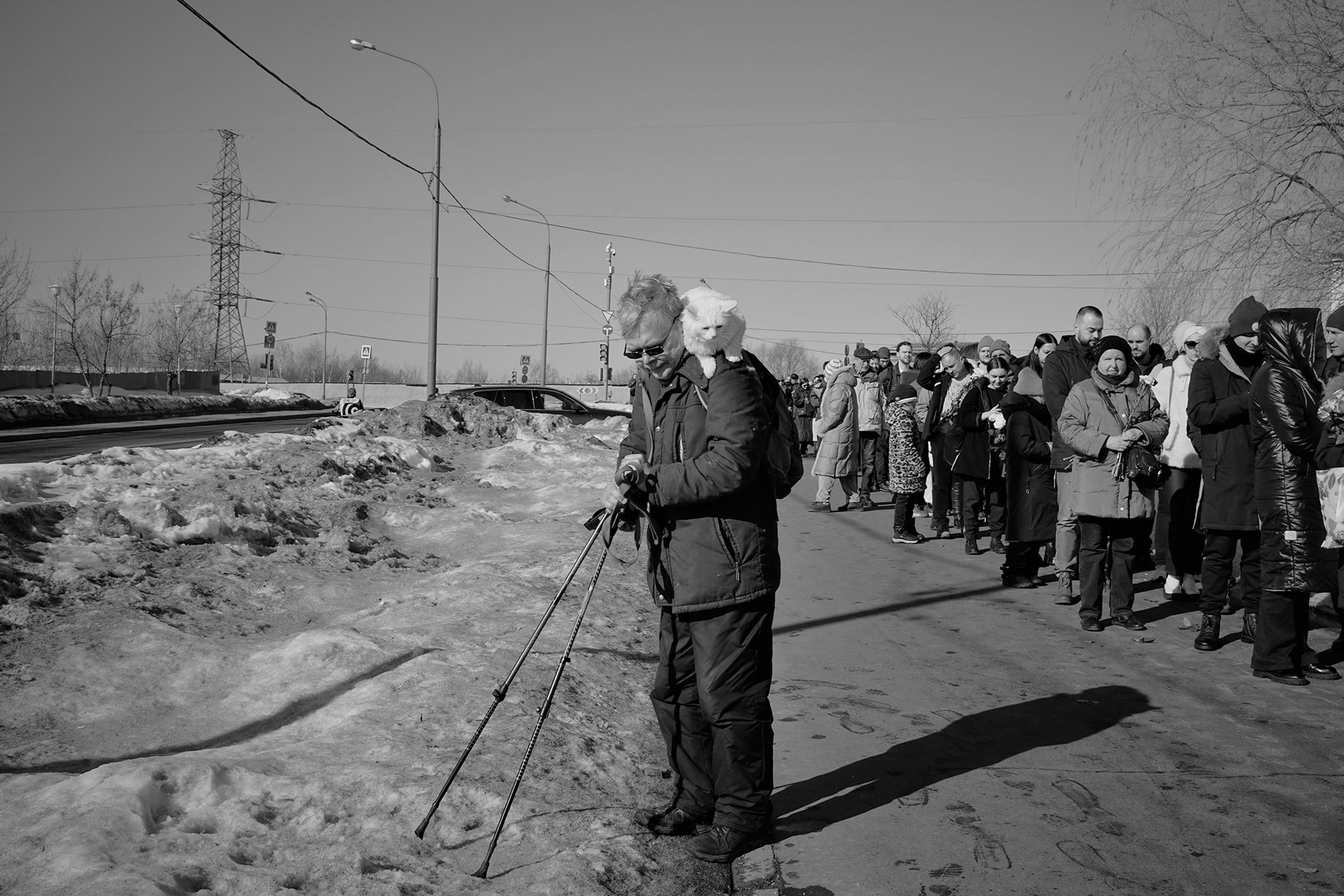 Борисовское кладбище. Дарья Крыл
