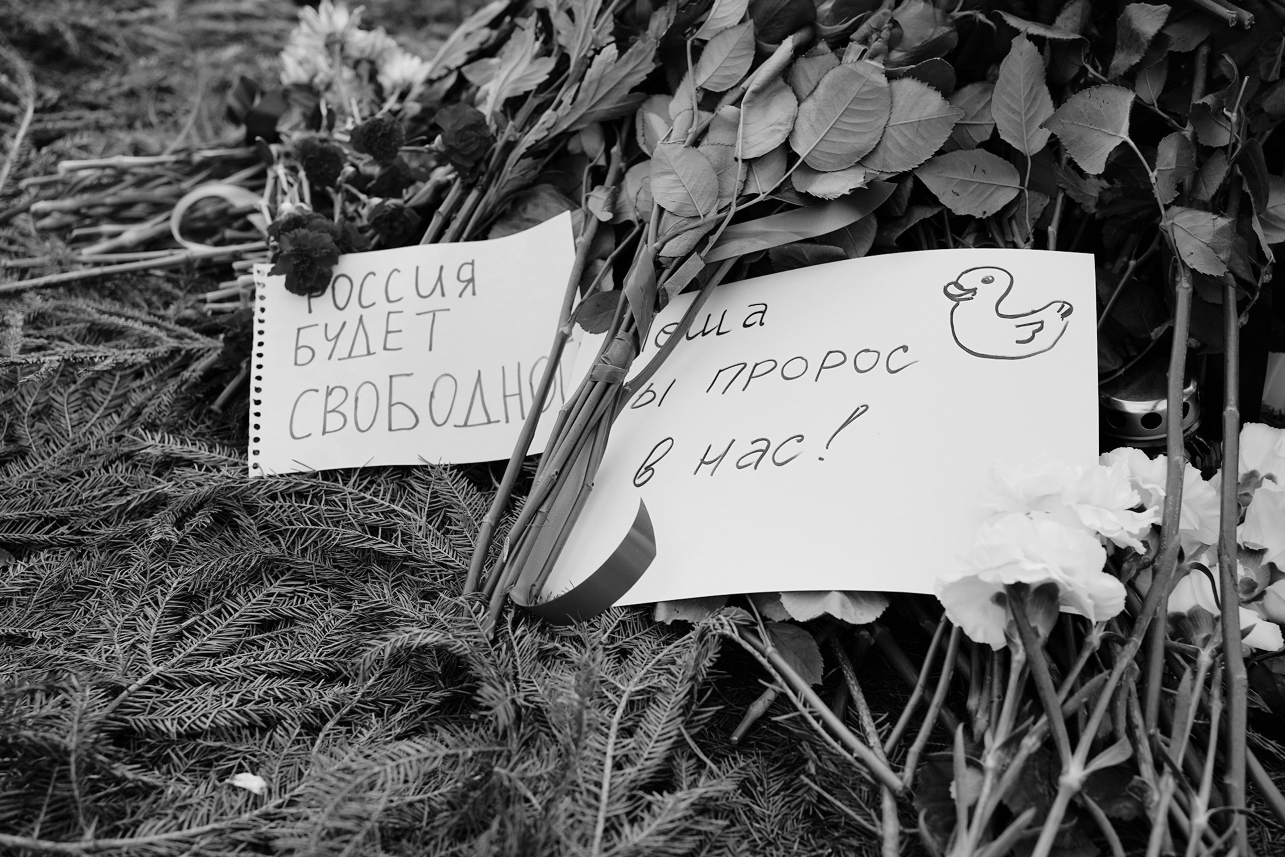 Борисовское кладбище. Дарья Крыл