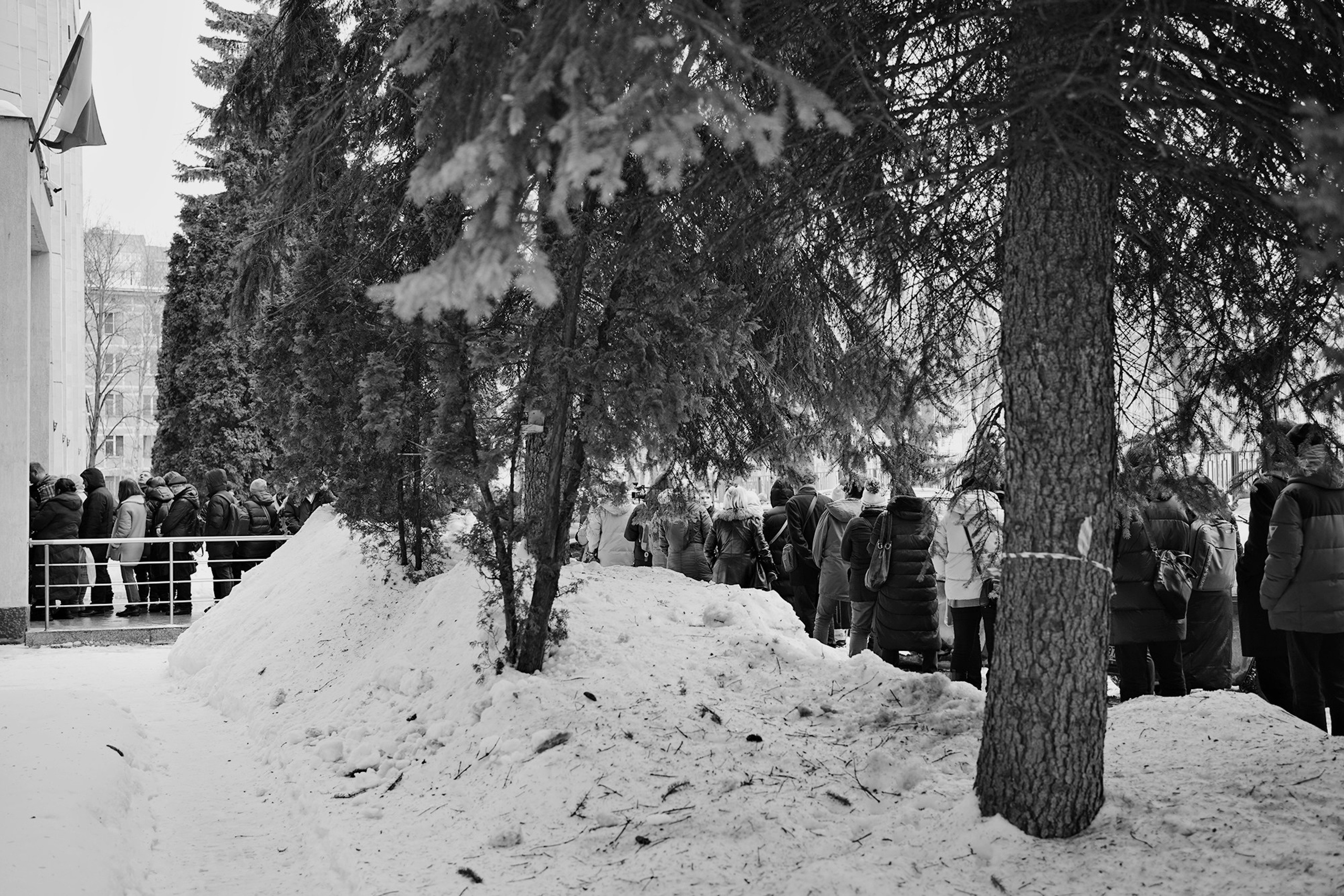 Суд над Олегом Орловым (включён Минюстом в реестр «иностранных агентов»). Дарья Крыл