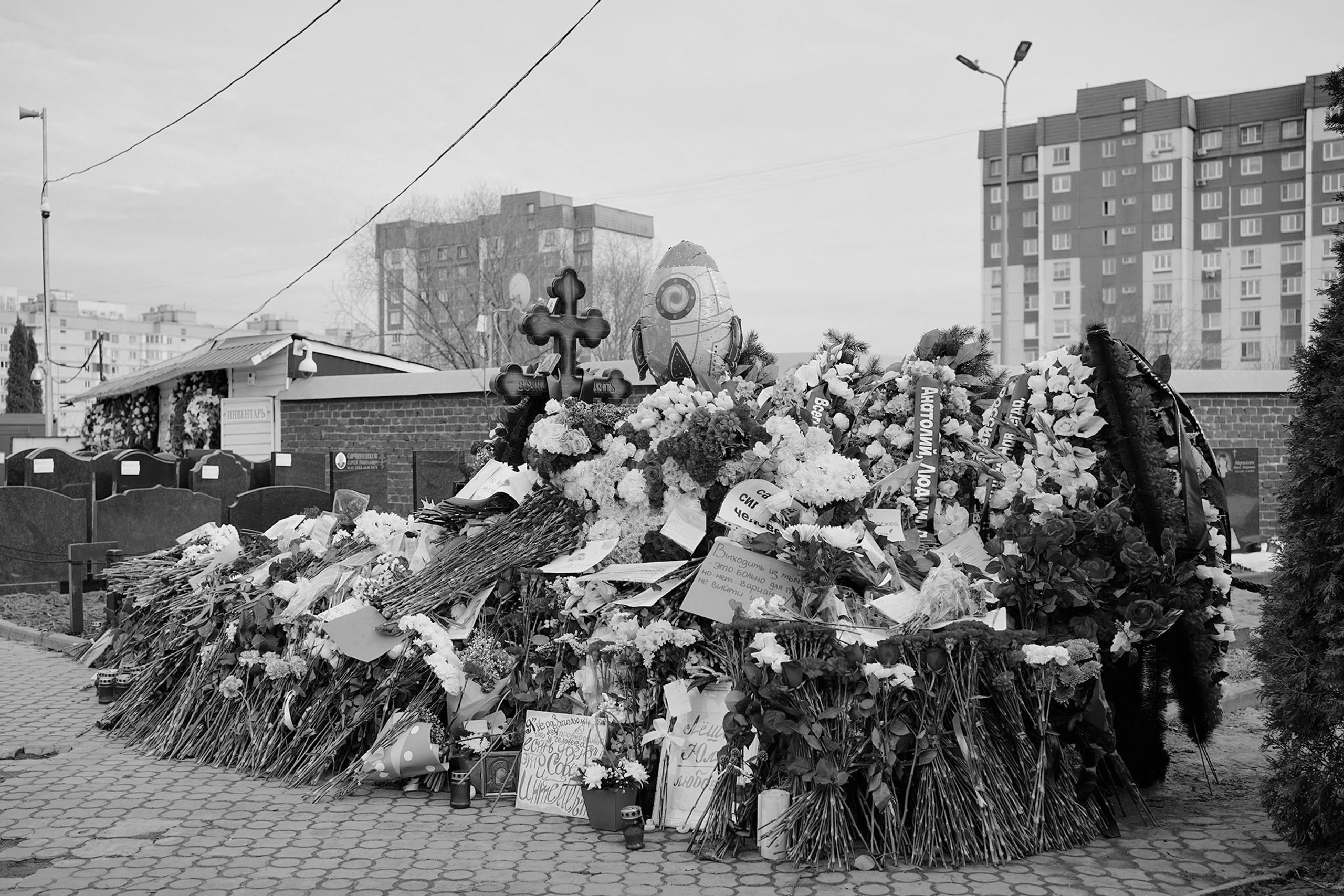 Борисовское кладбище. Дарья Крыл