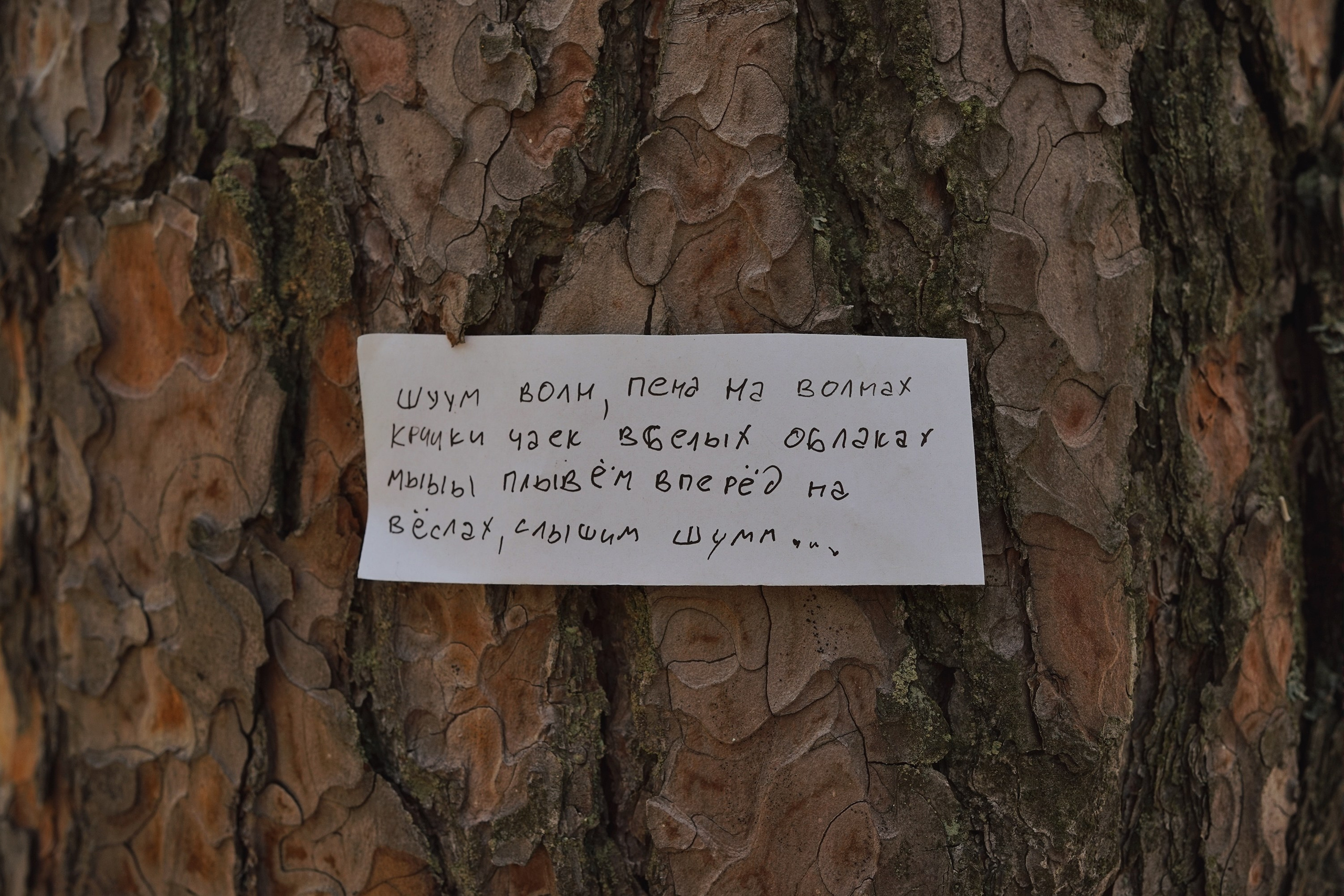 Кавардак (детская арт-резиденция). Дарья Крыл