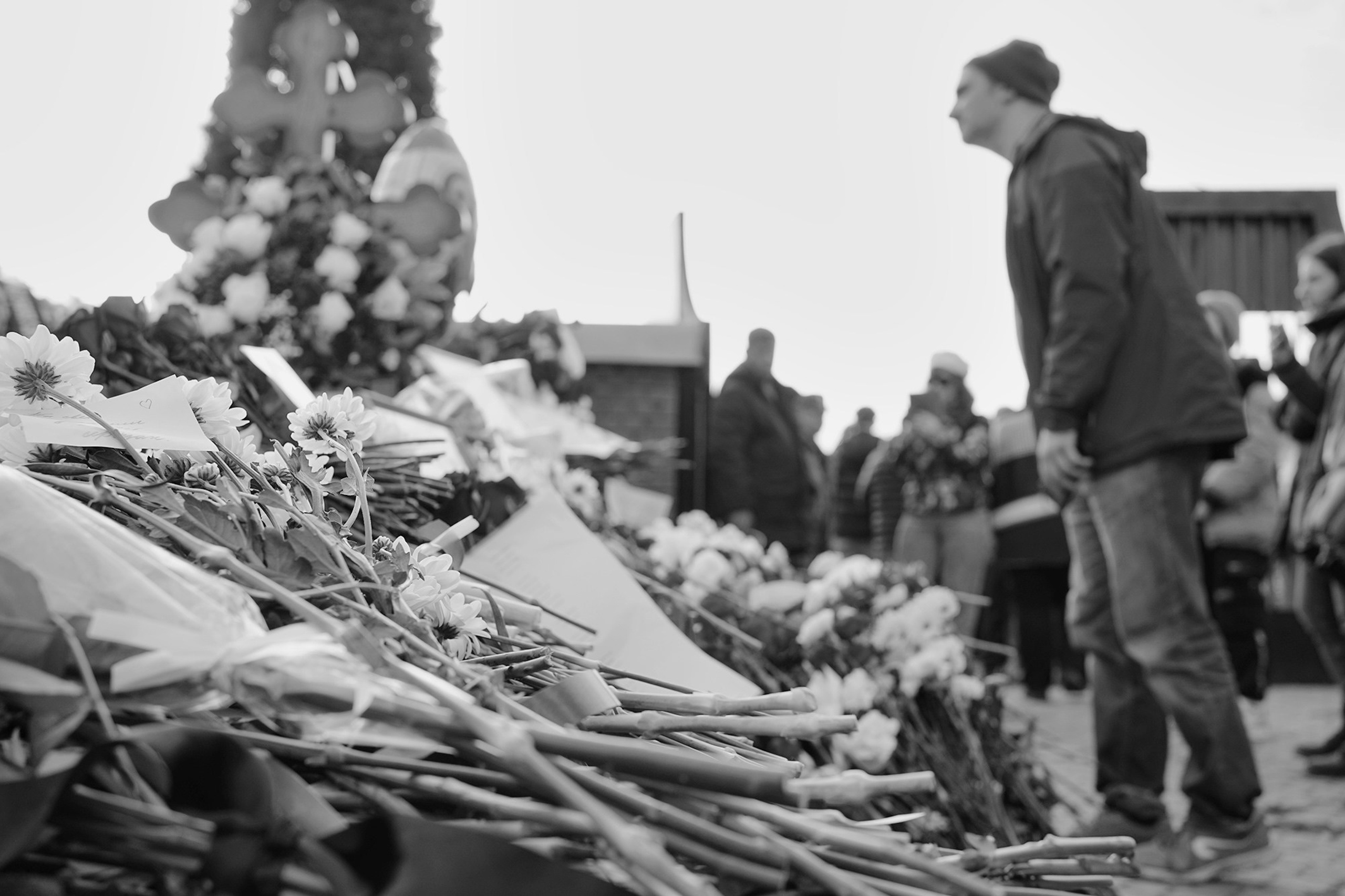 Борисовское кладбище. Дарья Крыл