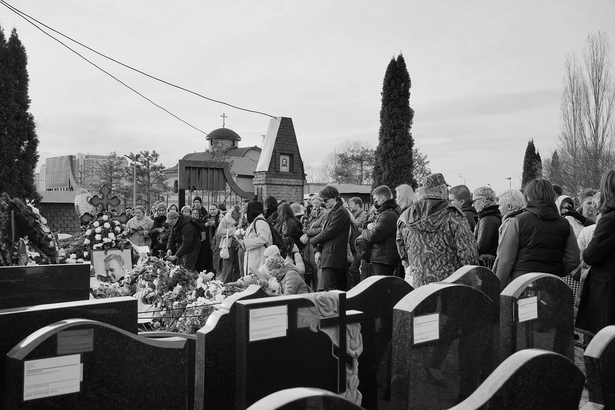 Борисовское кладбище. Дарья Крыл