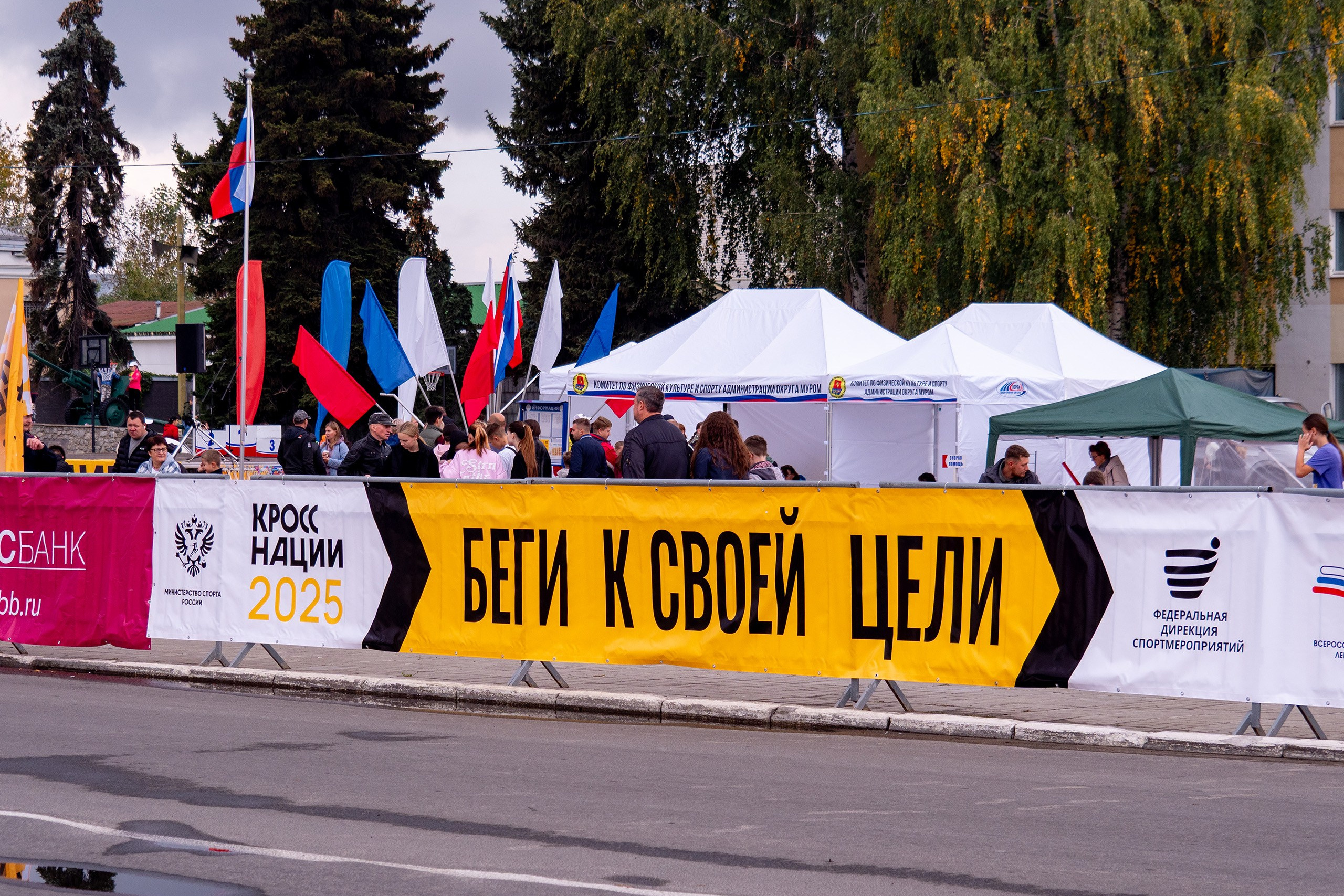 Кросс нации 25