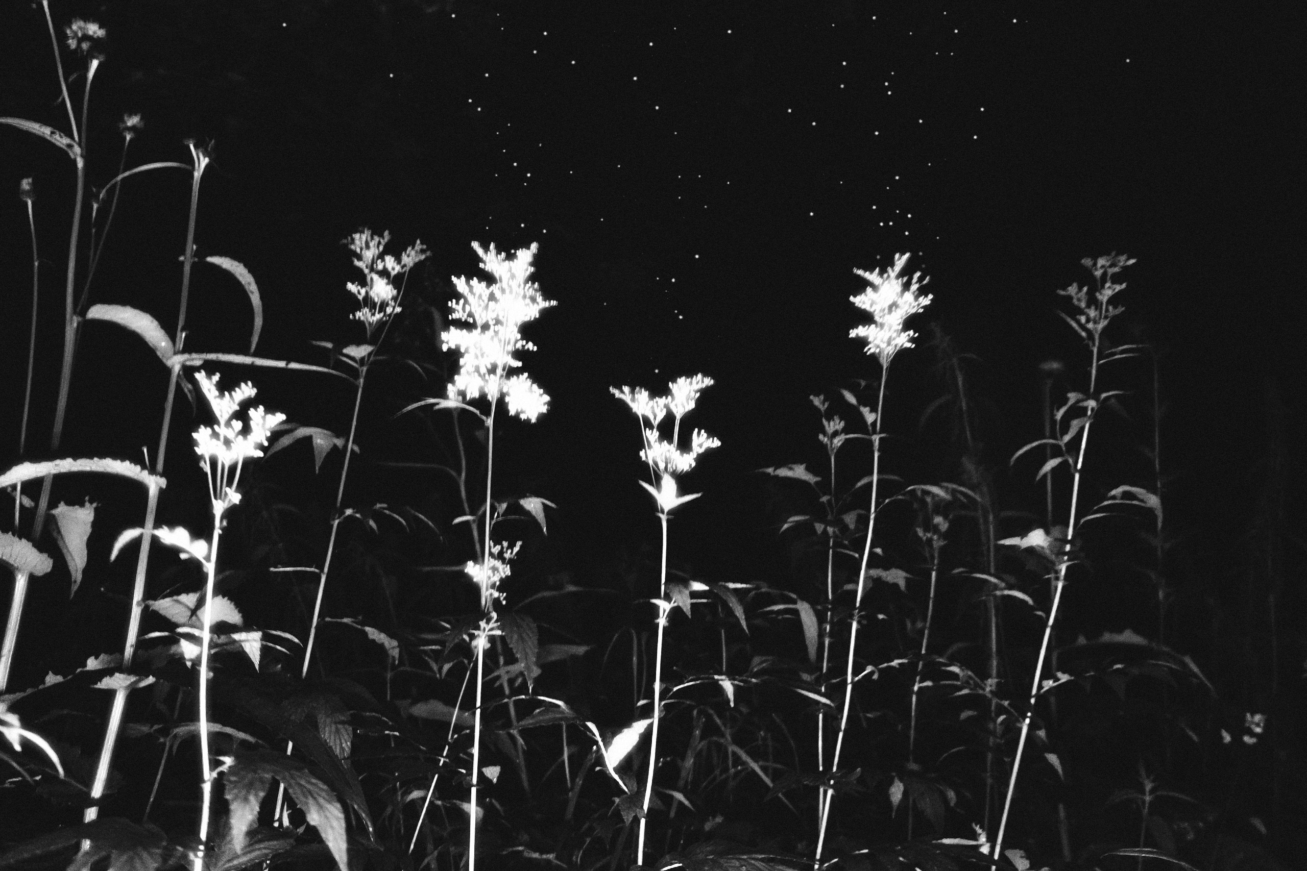 Край причудливых скал. Elina Gusarova