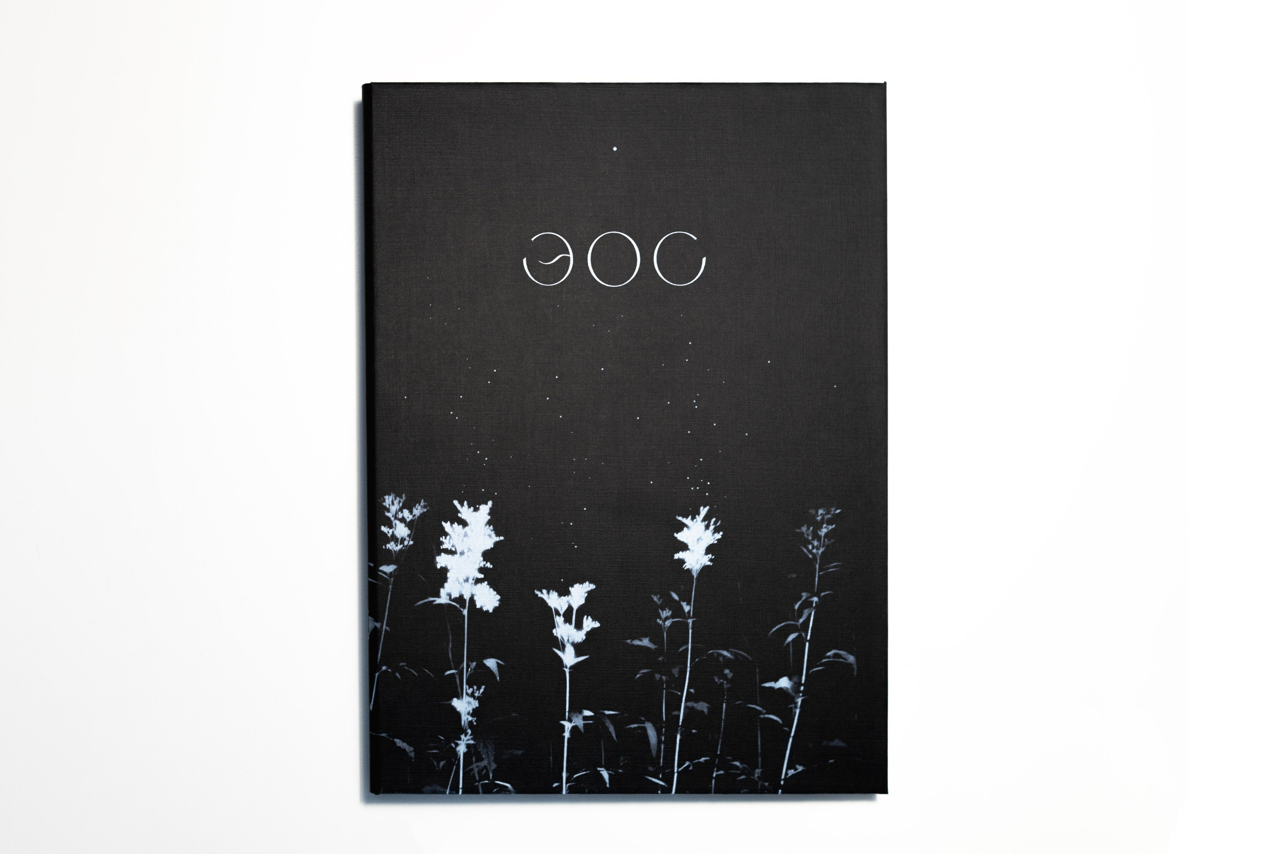 Эос / авторская книга