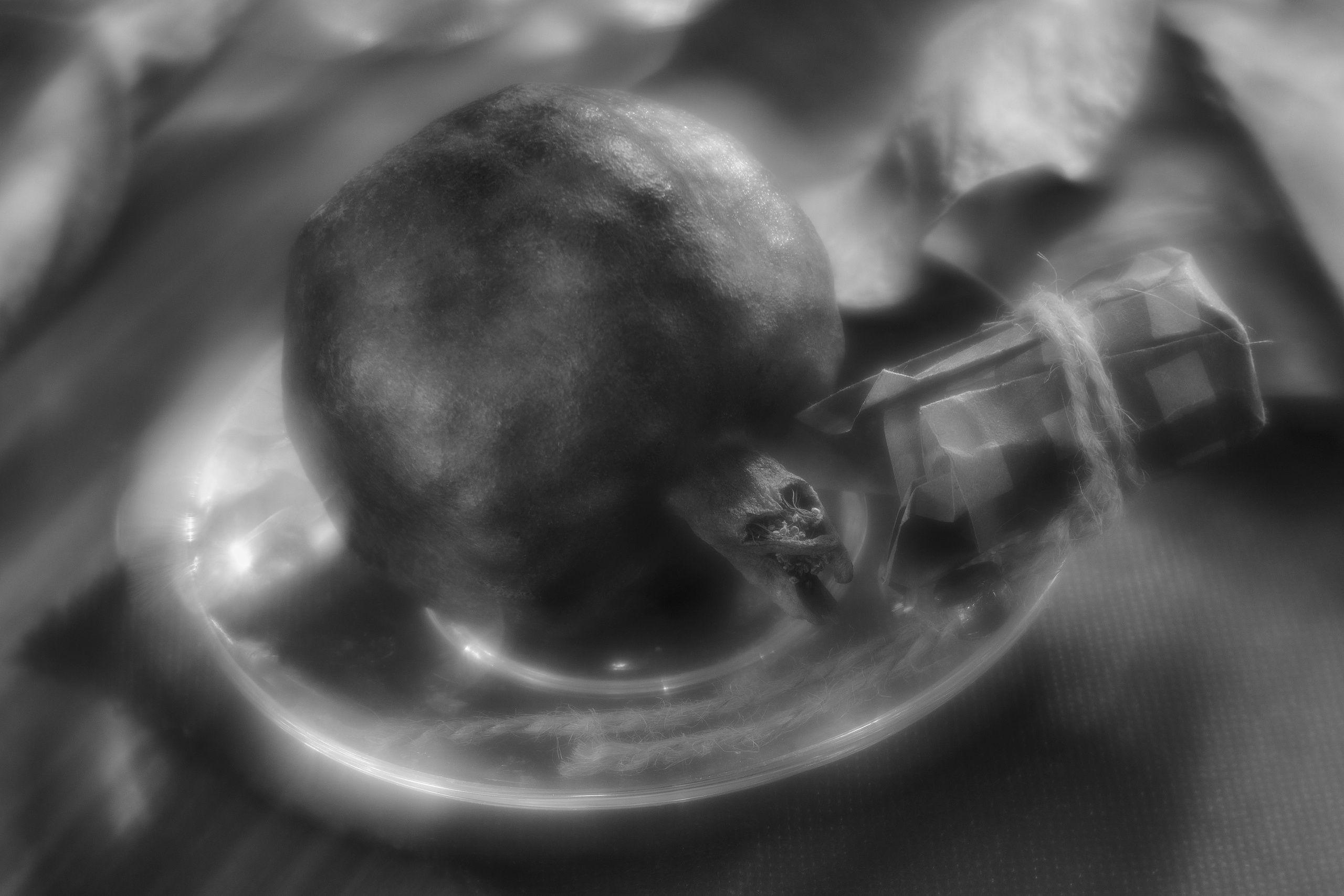 Stillife. Фотограф Виктор Луганский Москва