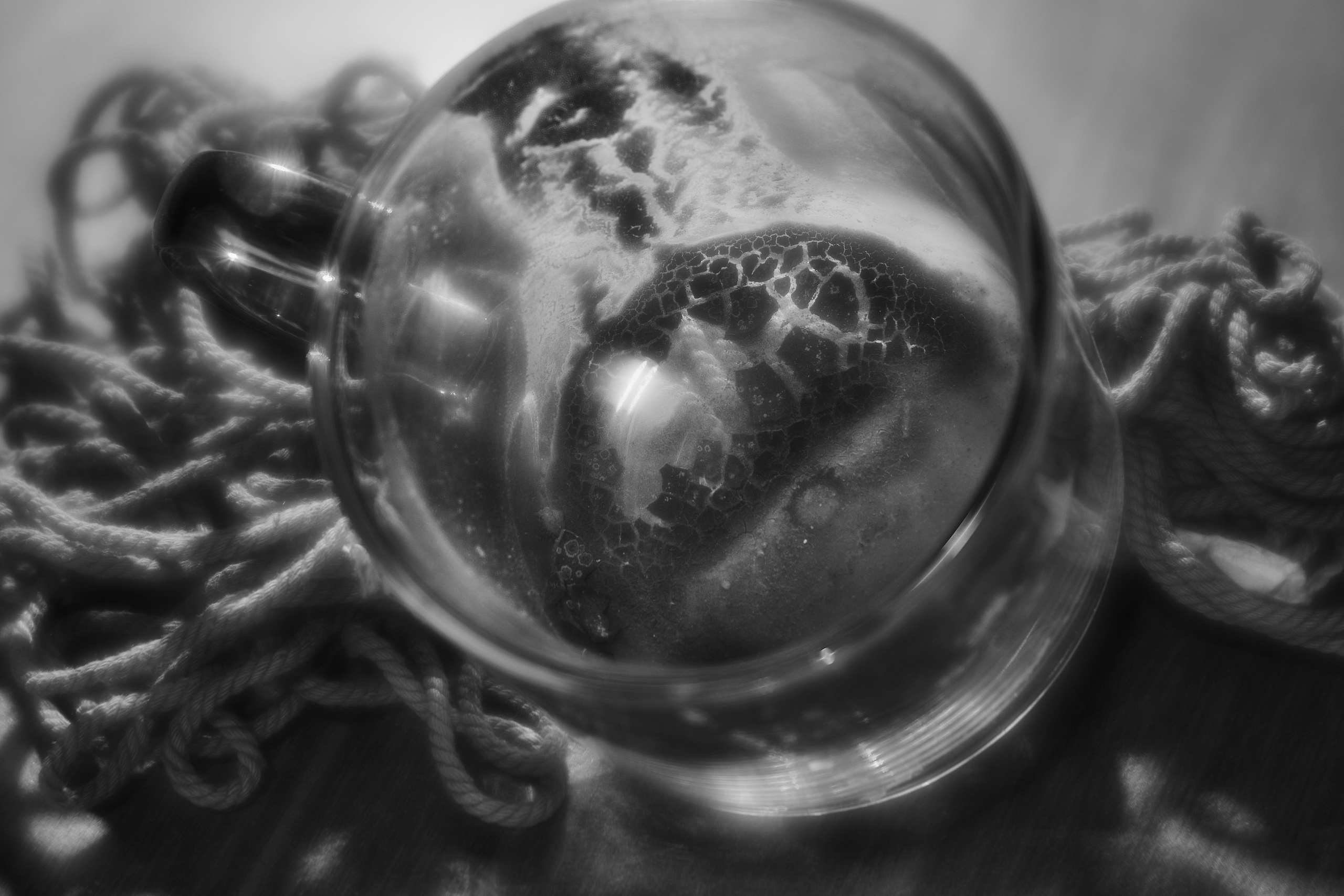 Stillife. Фотограф Виктор Луганский Москва