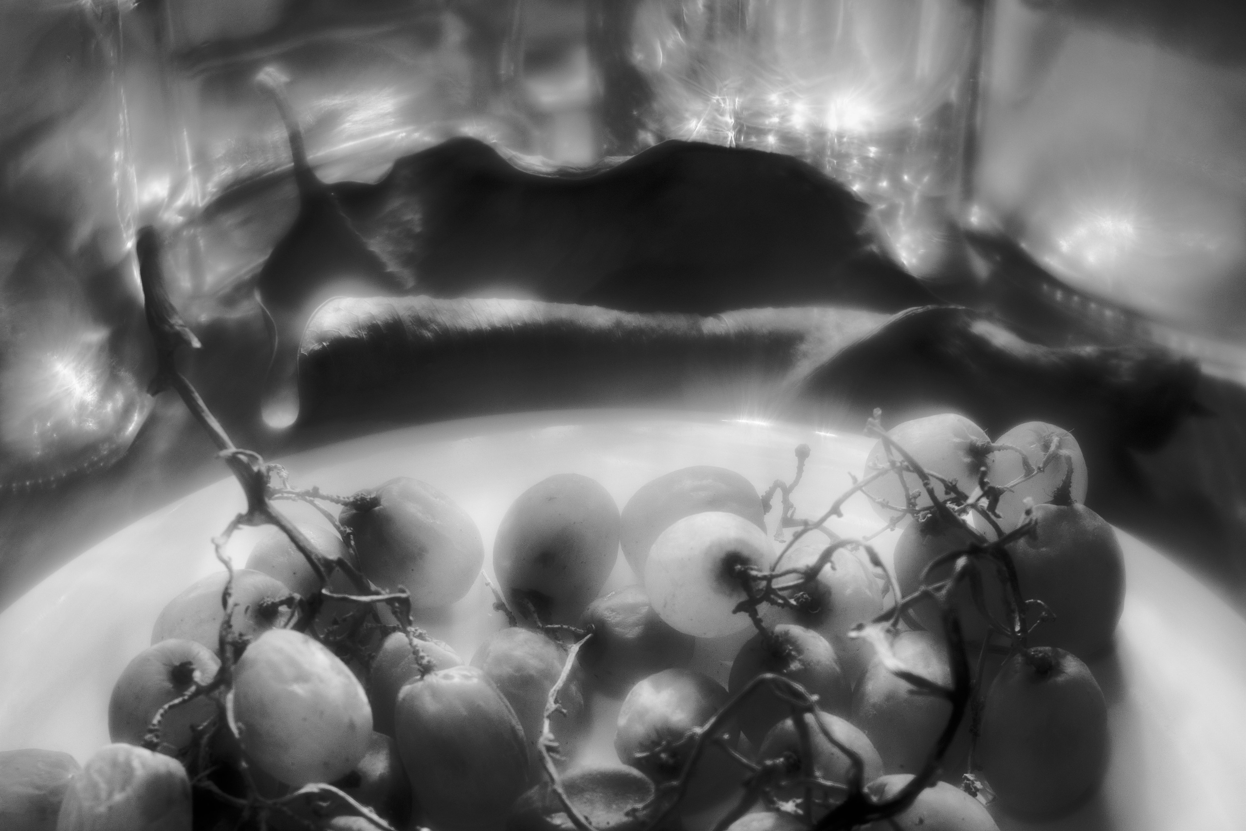 Stillife. Фотограф Виктор Луганский Москва