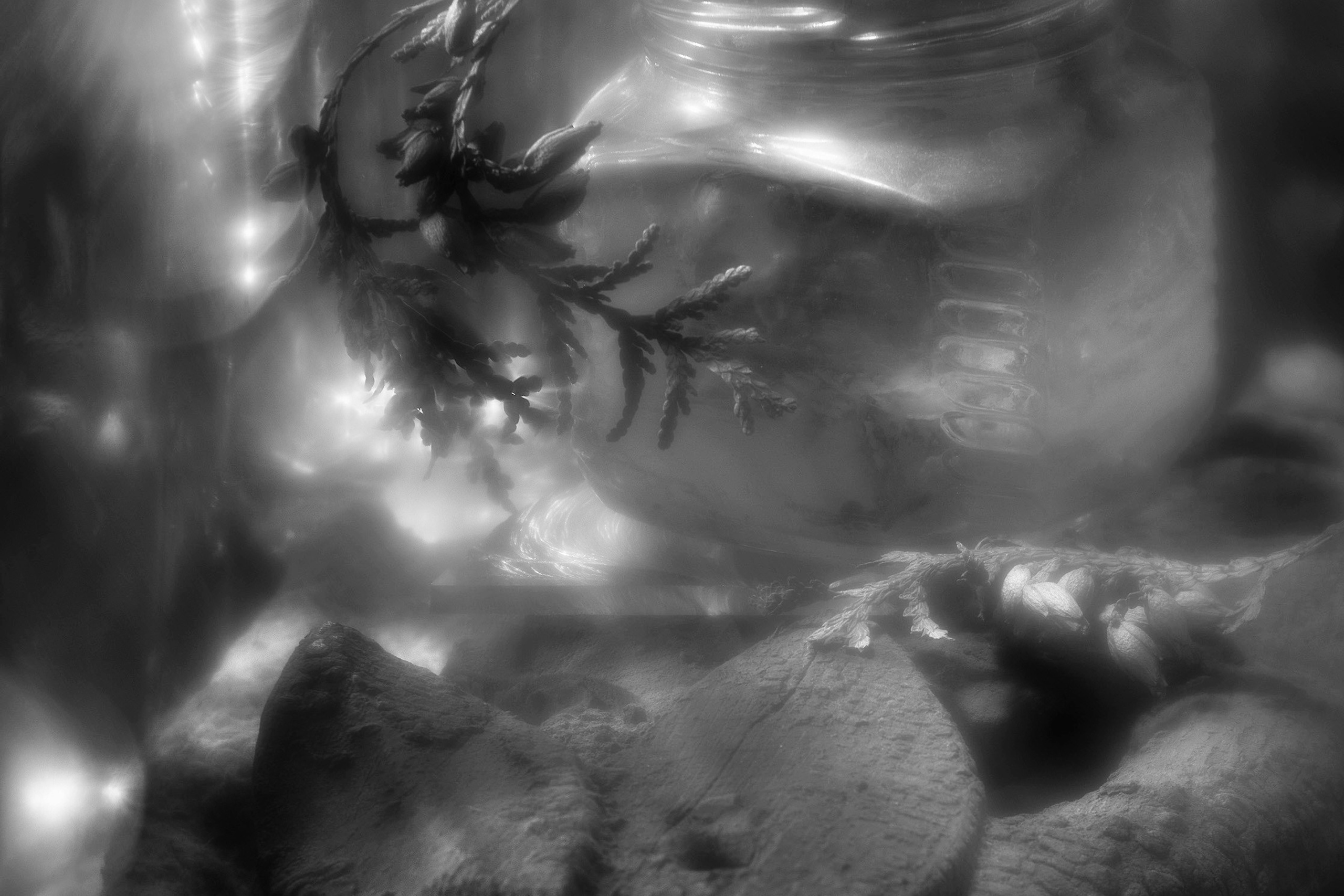 Stillife. Фотограф Виктор Луганский Москва