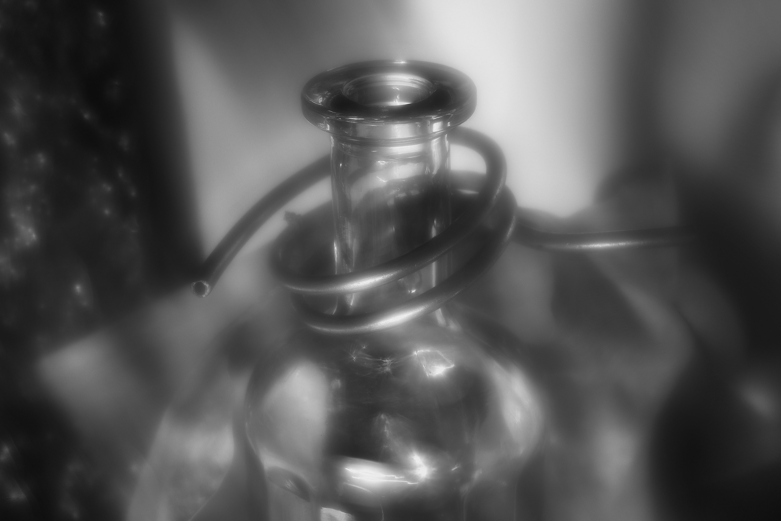 Stillife. Фотограф Виктор Луганский Москва