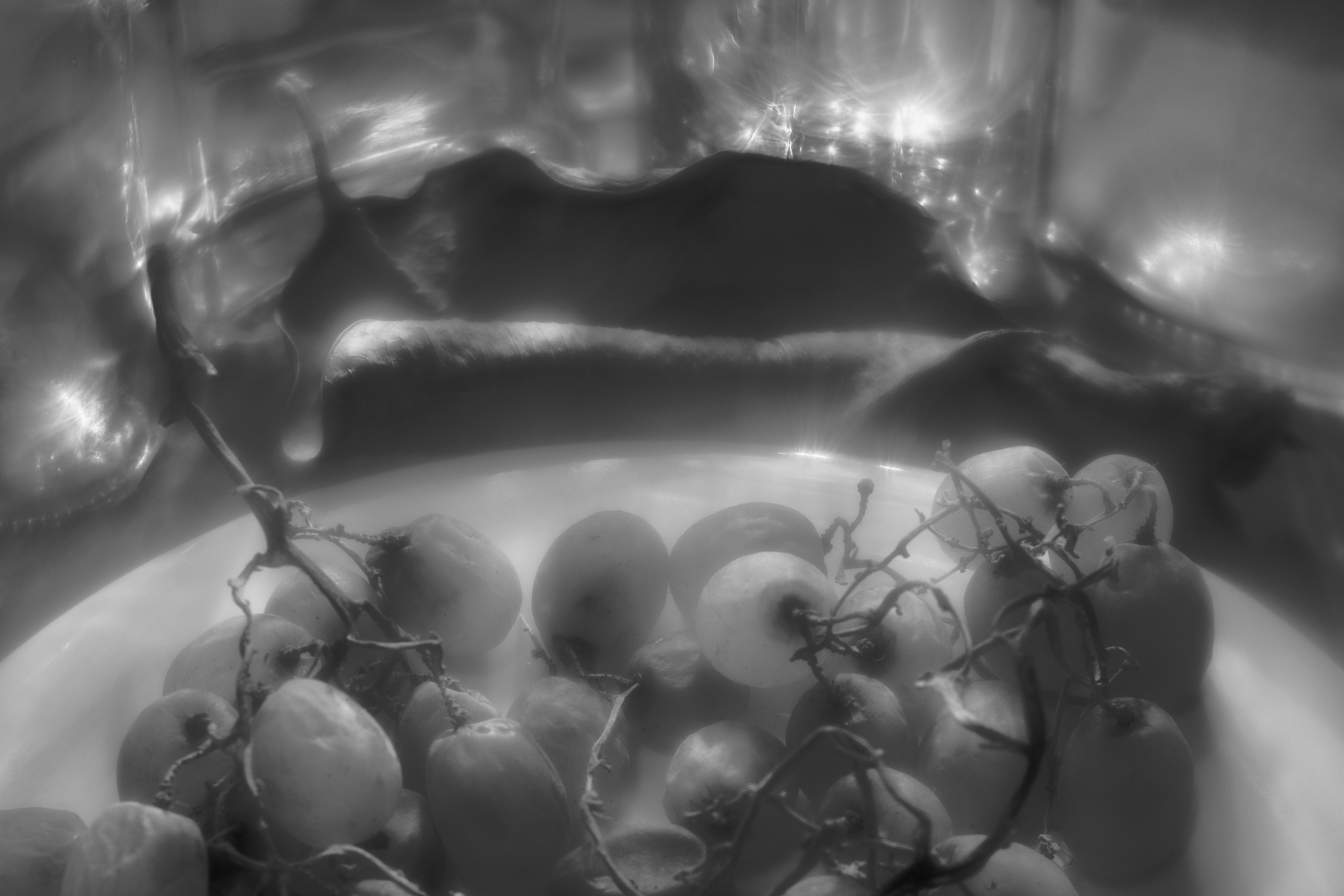 Stillife. Фотограф Виктор Луганский Москва