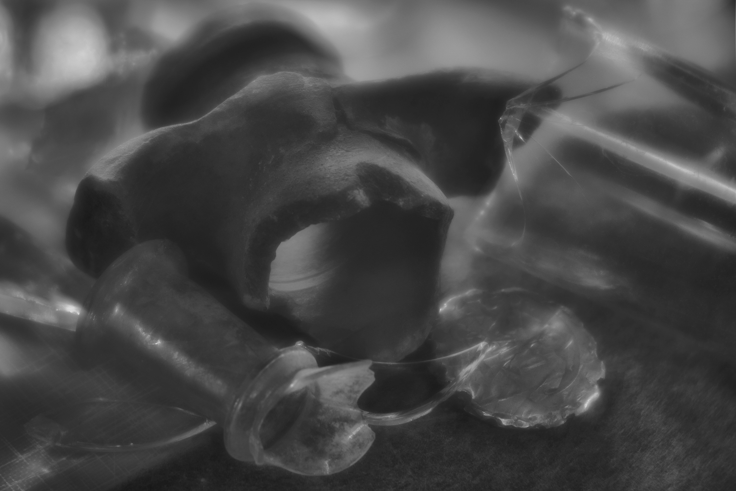 Stillife. Фотограф Виктор Луганский Москва