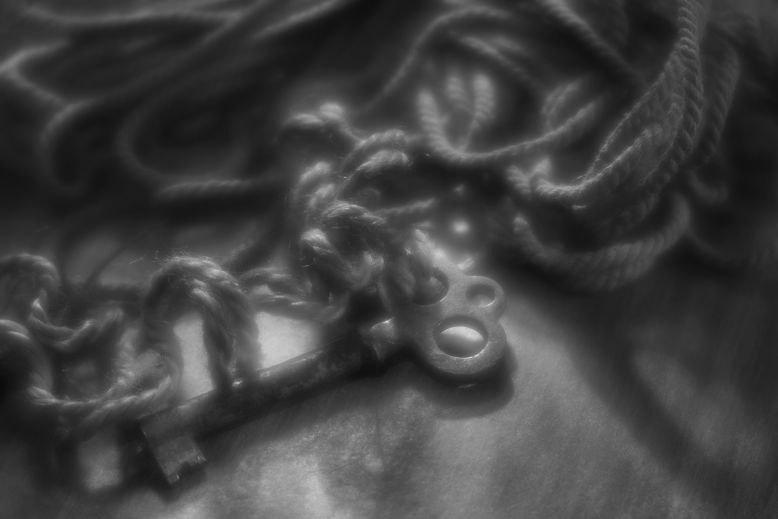 Stillife. Фотограф Виктор Луганский Москва