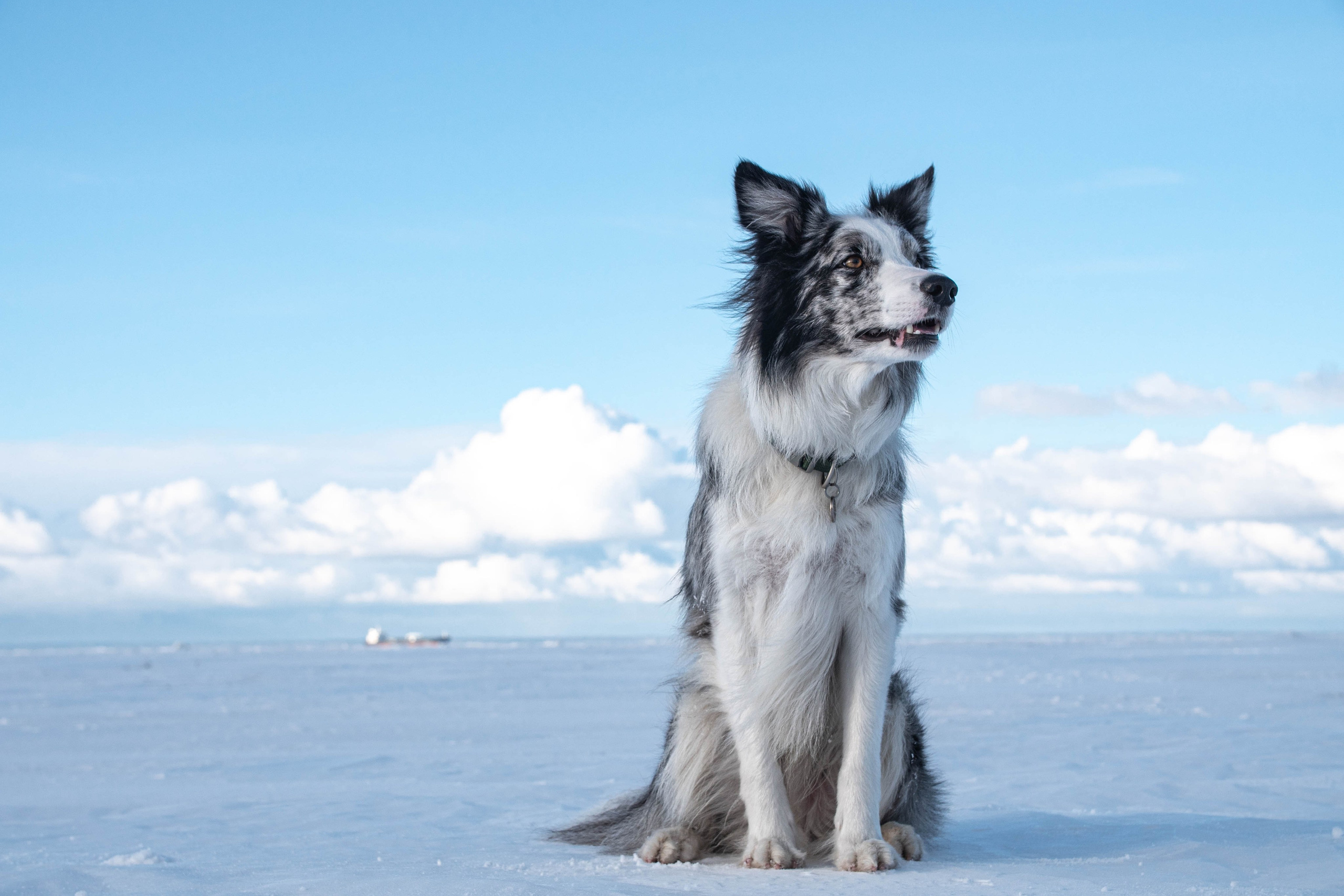 Зима на финском