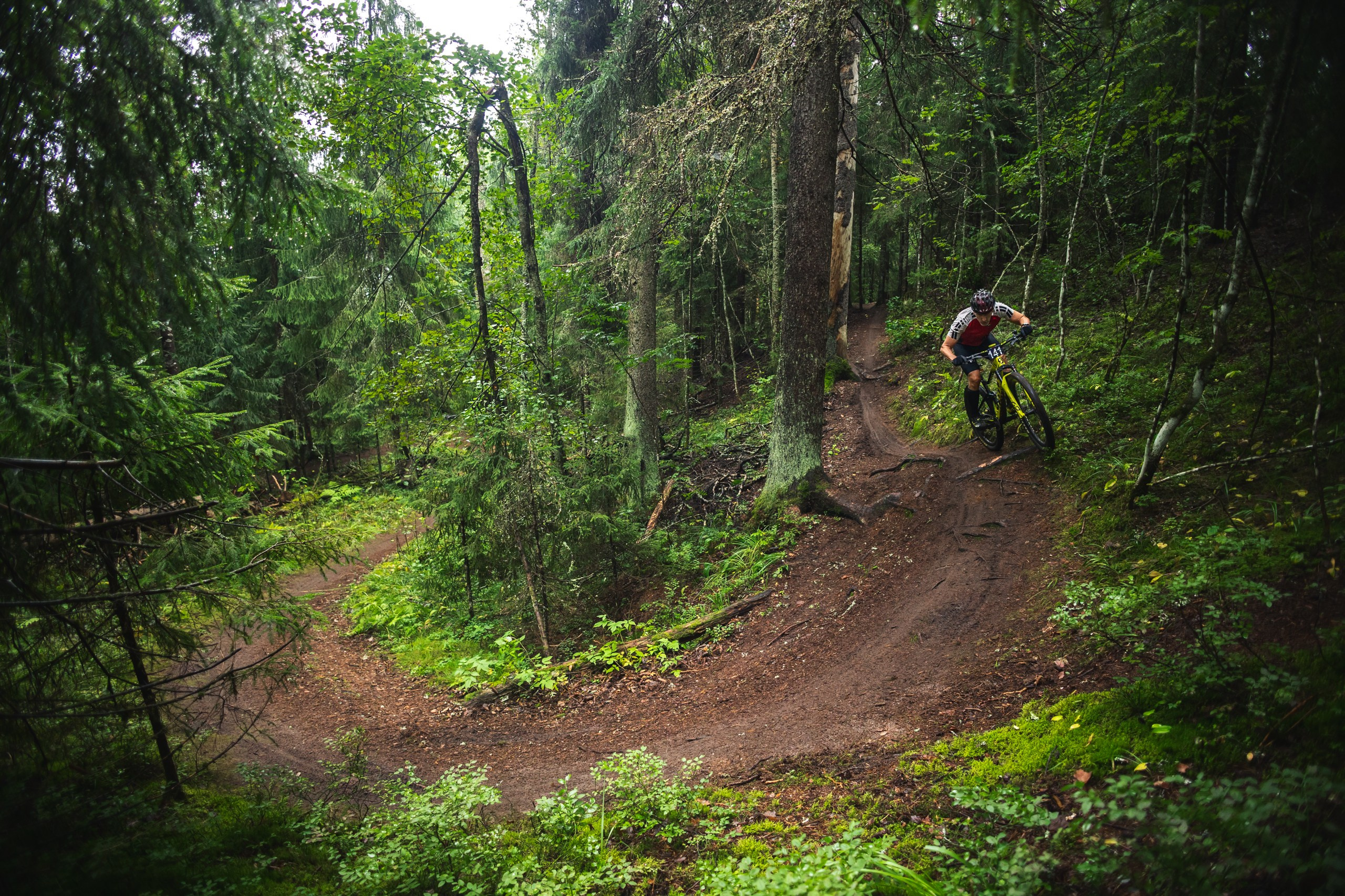 Гонка Орехово