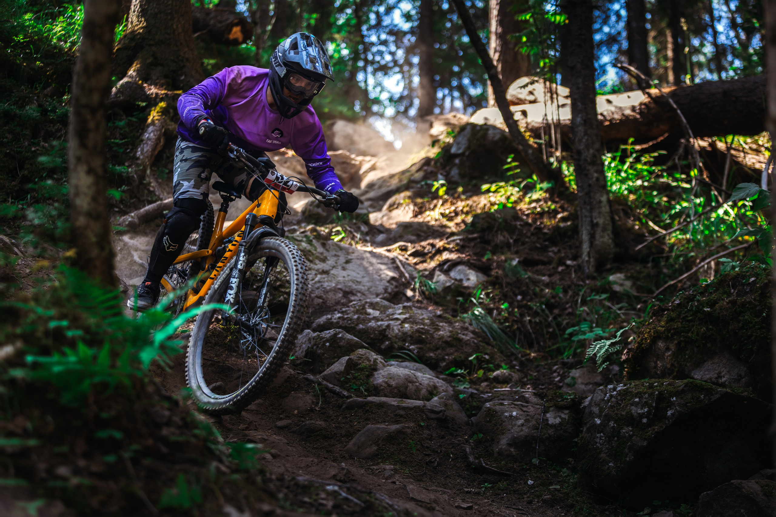 Гонка Ялгора