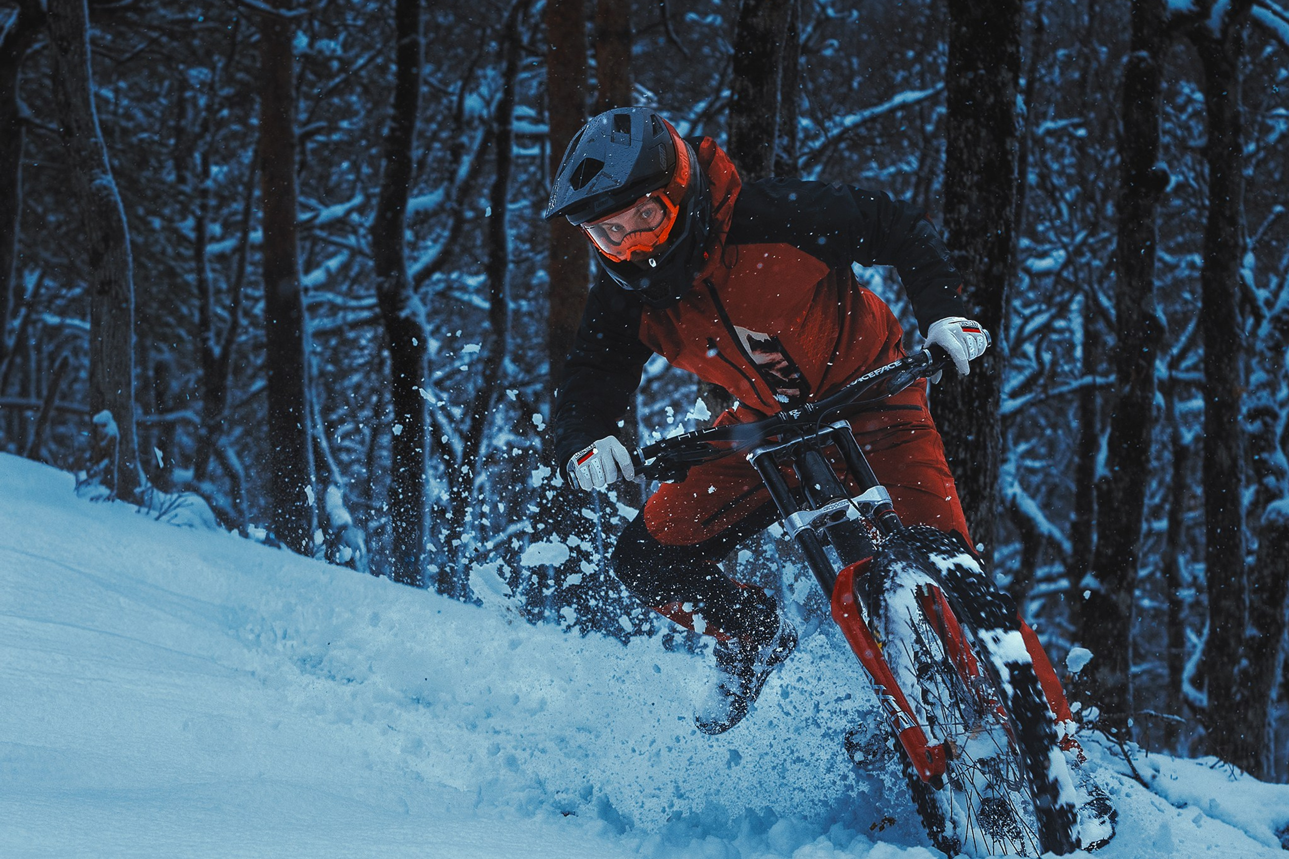 Евгений Бочанский