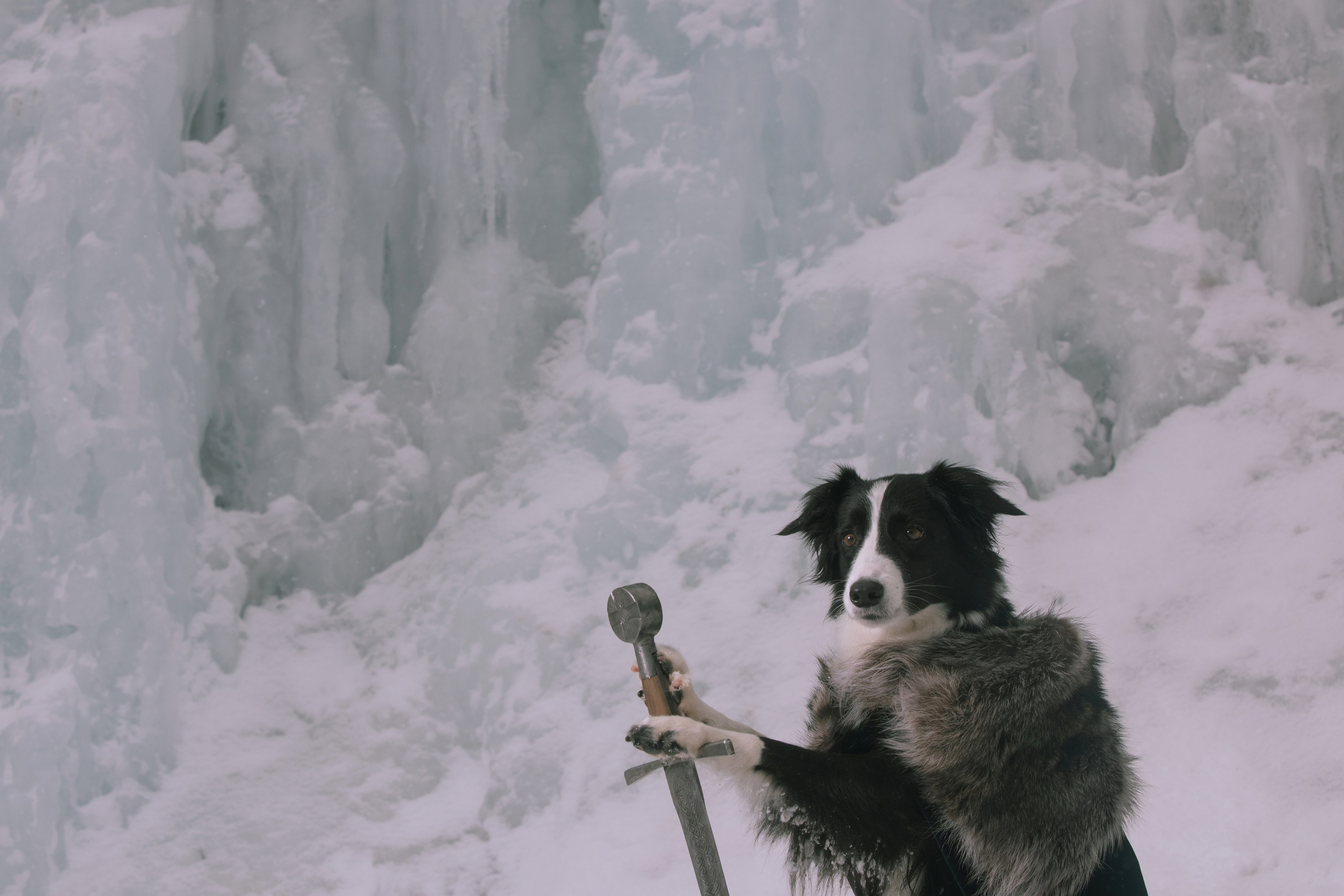Игра престолов