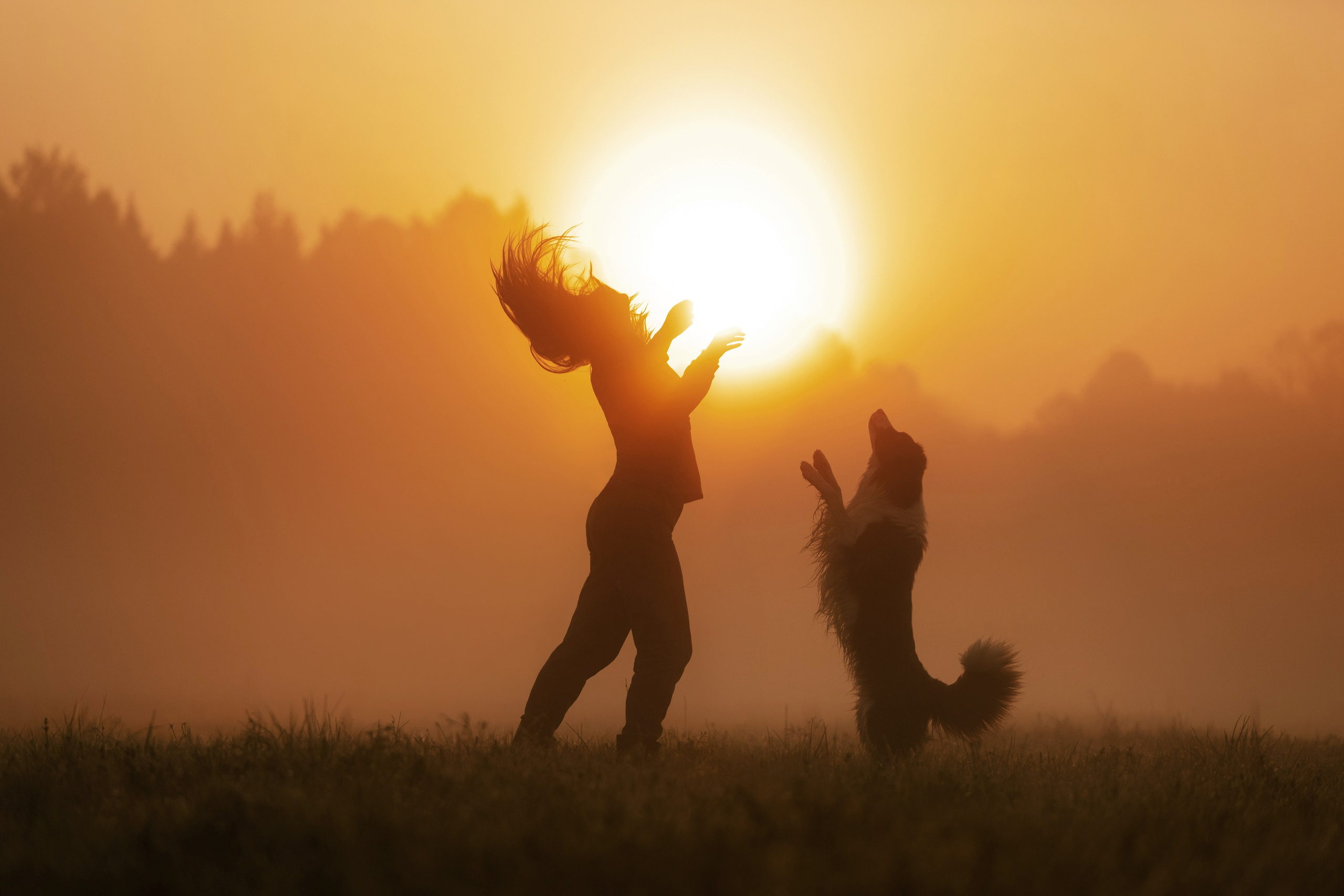 Дарья и бордер колли Мэджик и Фарго