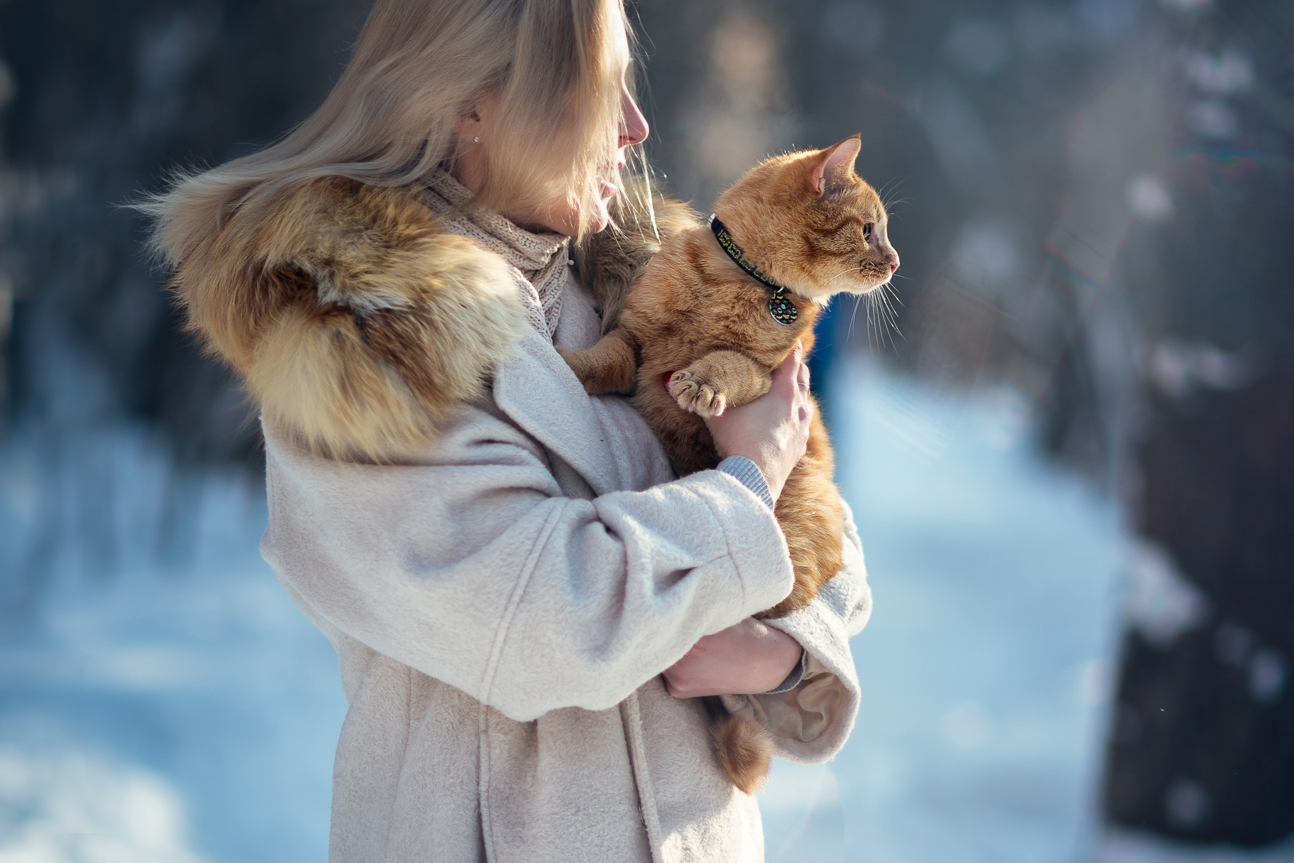 Шерше ля фам (женские портреты улица)