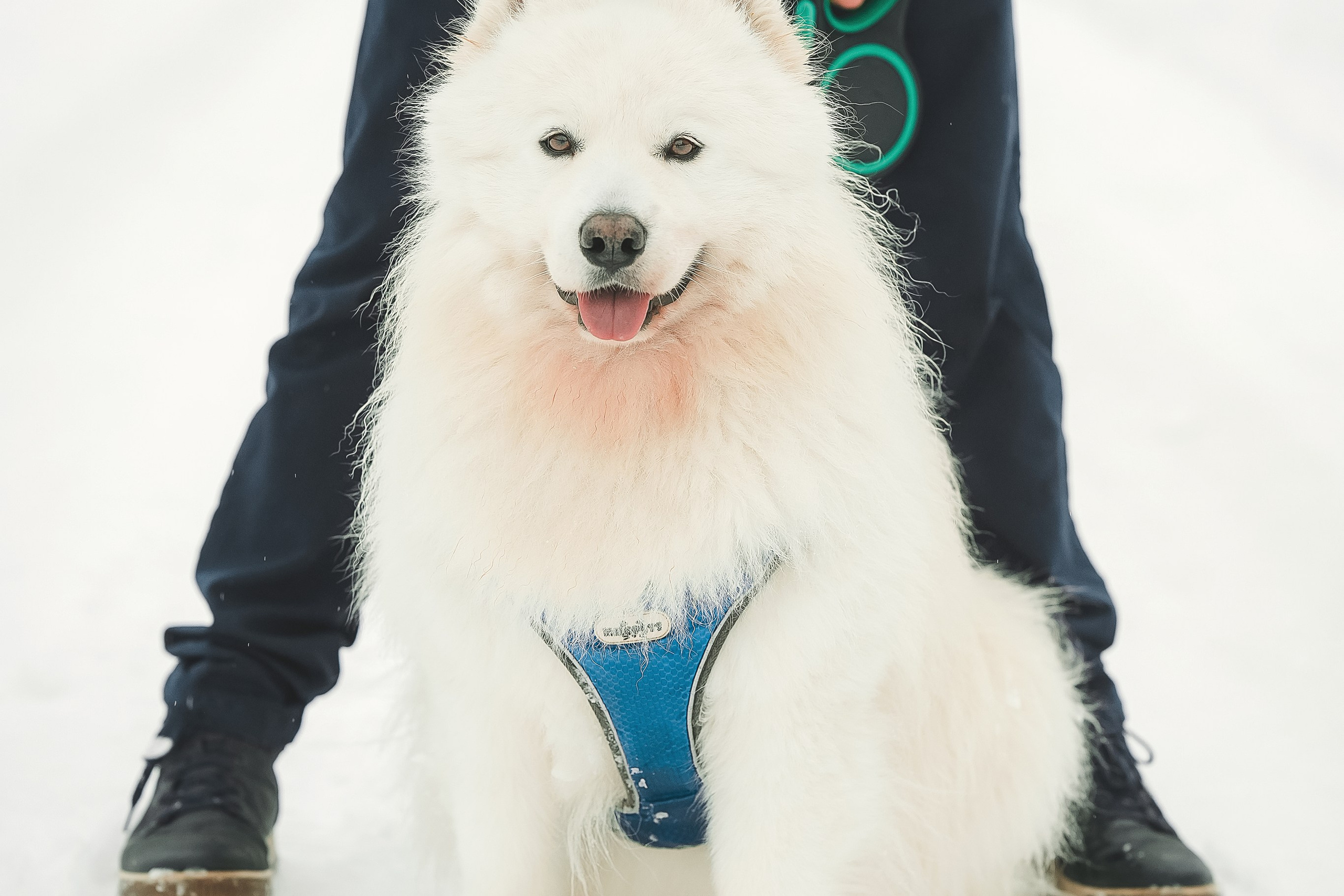 Юрий, Марианна и Санни